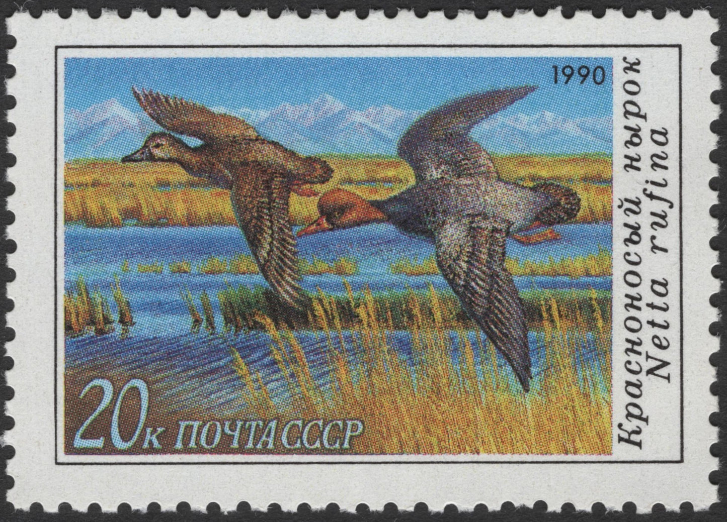 SCG3113 - USSR 1990 Red-crested Pochard Stamp