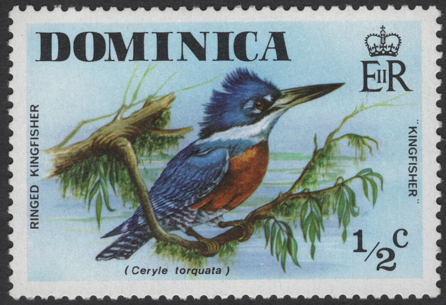 SCG3114 - Dominica – Ringed Kingfisher Stamp (½ Cent)