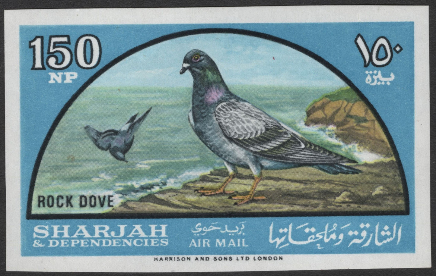 SCG3116 - Sharjah & Dependencies – Rock Dove Airmail Stamp