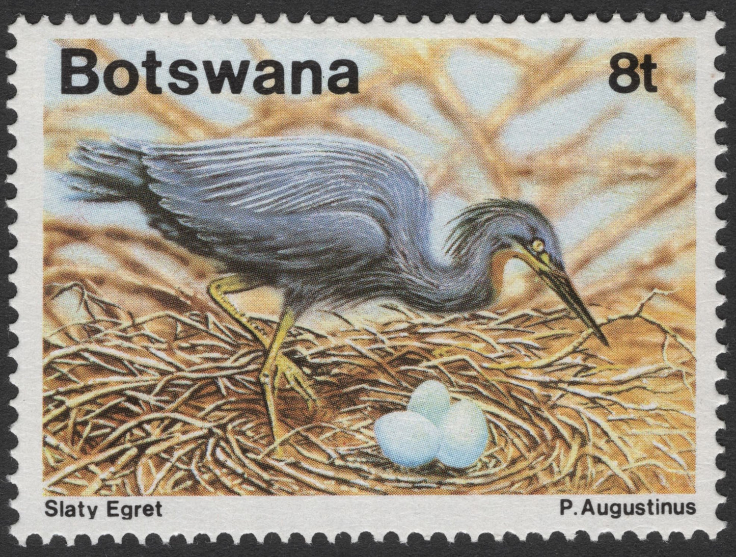 SCG3109 - Botswana 8t Slaty Egret Stamp (P. Augustinus)
