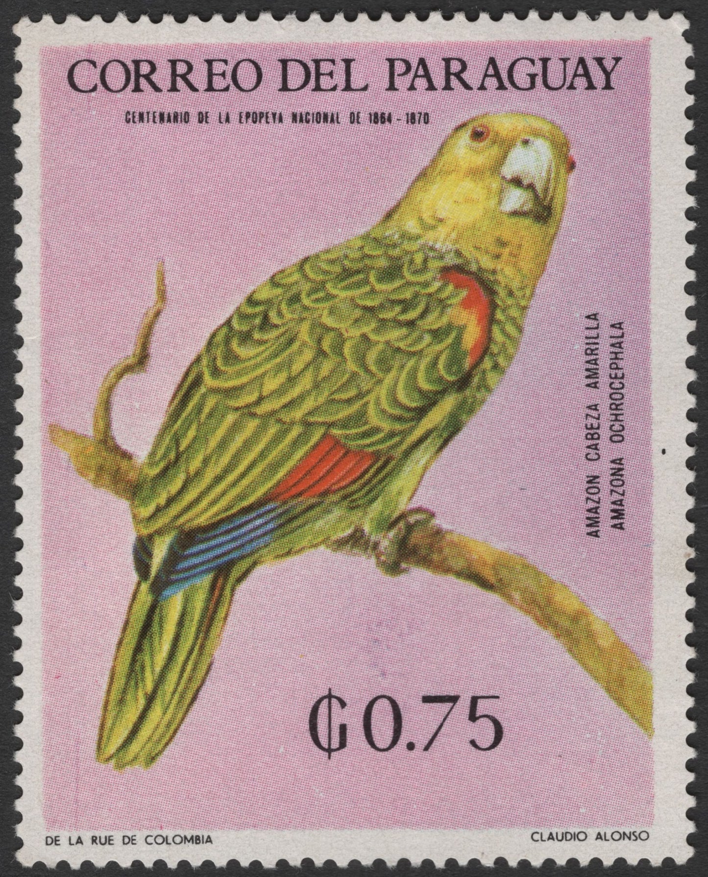 SCG3133 - Paraguay 1960s Yellow-headed Amazon Stamp – 0.75 G