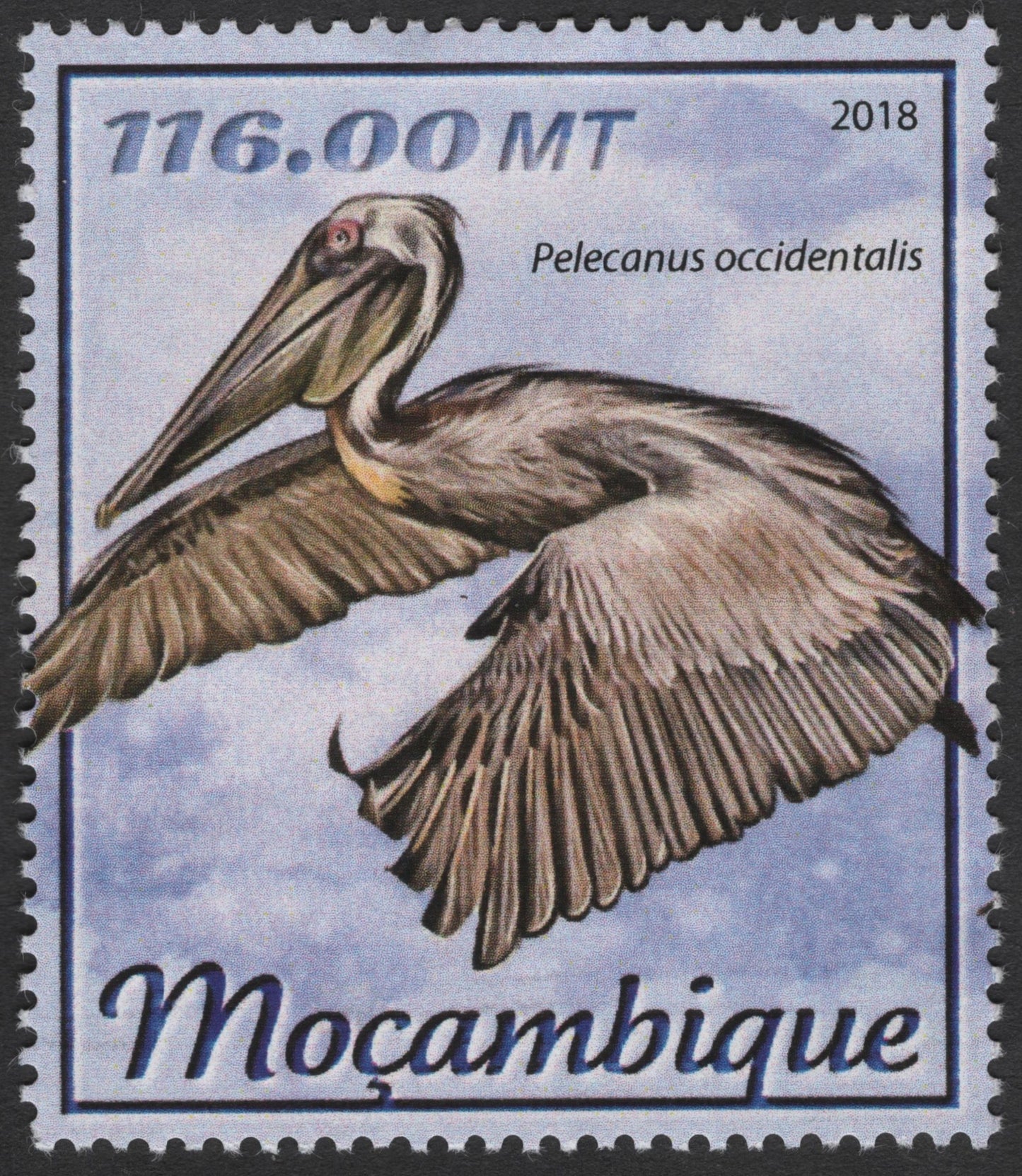 SCG3135 - Mozambique 2018 Brown Pelican Stamp
