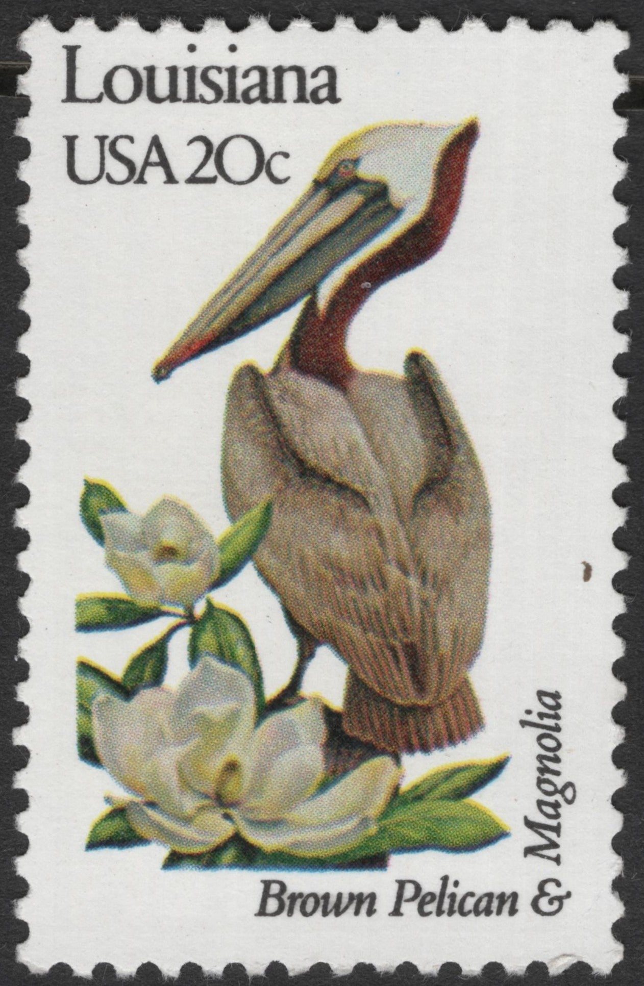 SCG3126 - USA 1982 Louisiana State Bird & Flower – Brown Pelican & Magnolia Stamp