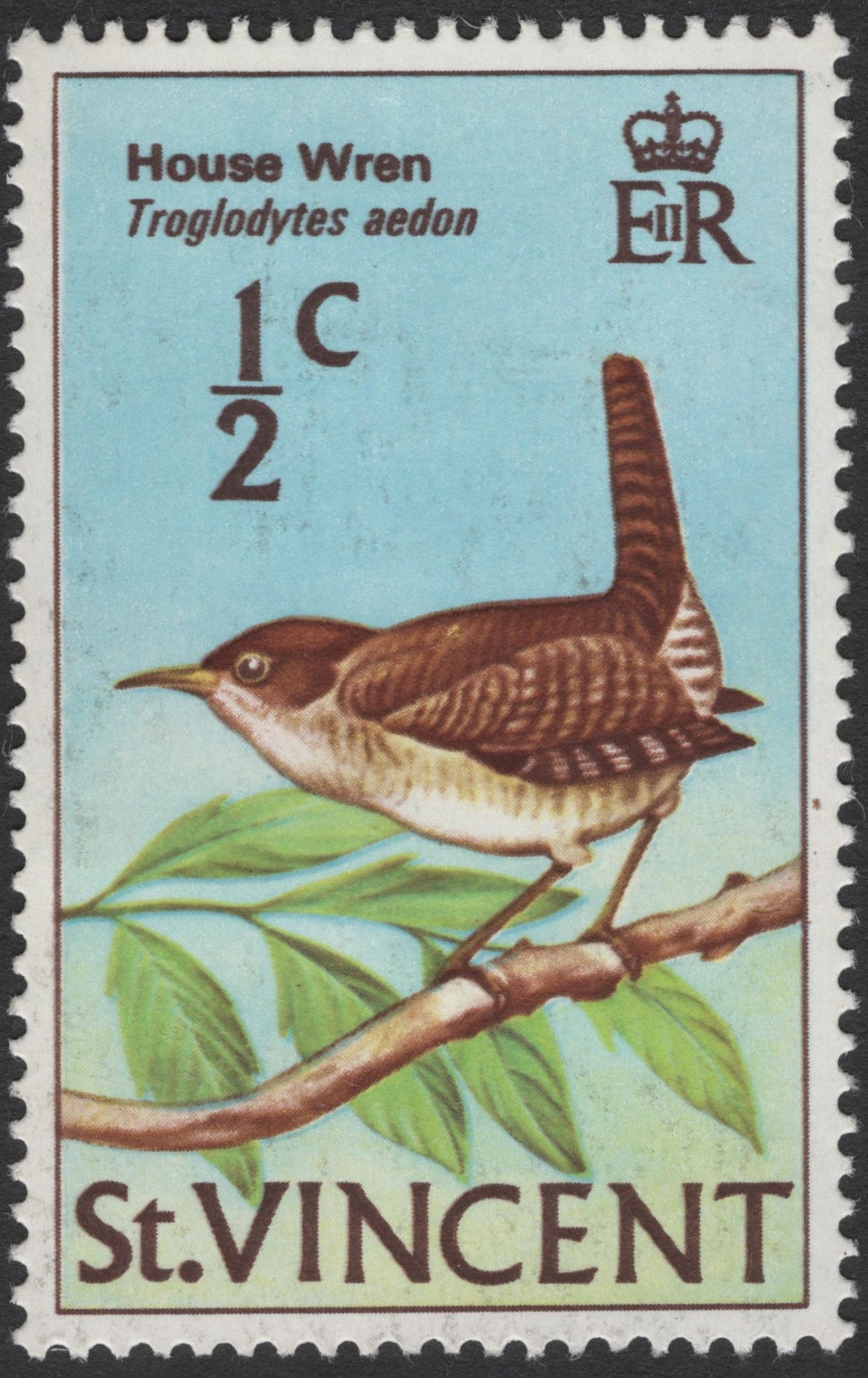 SCG3128 - St. Vincent – House Wren Stamp (½ Cent)