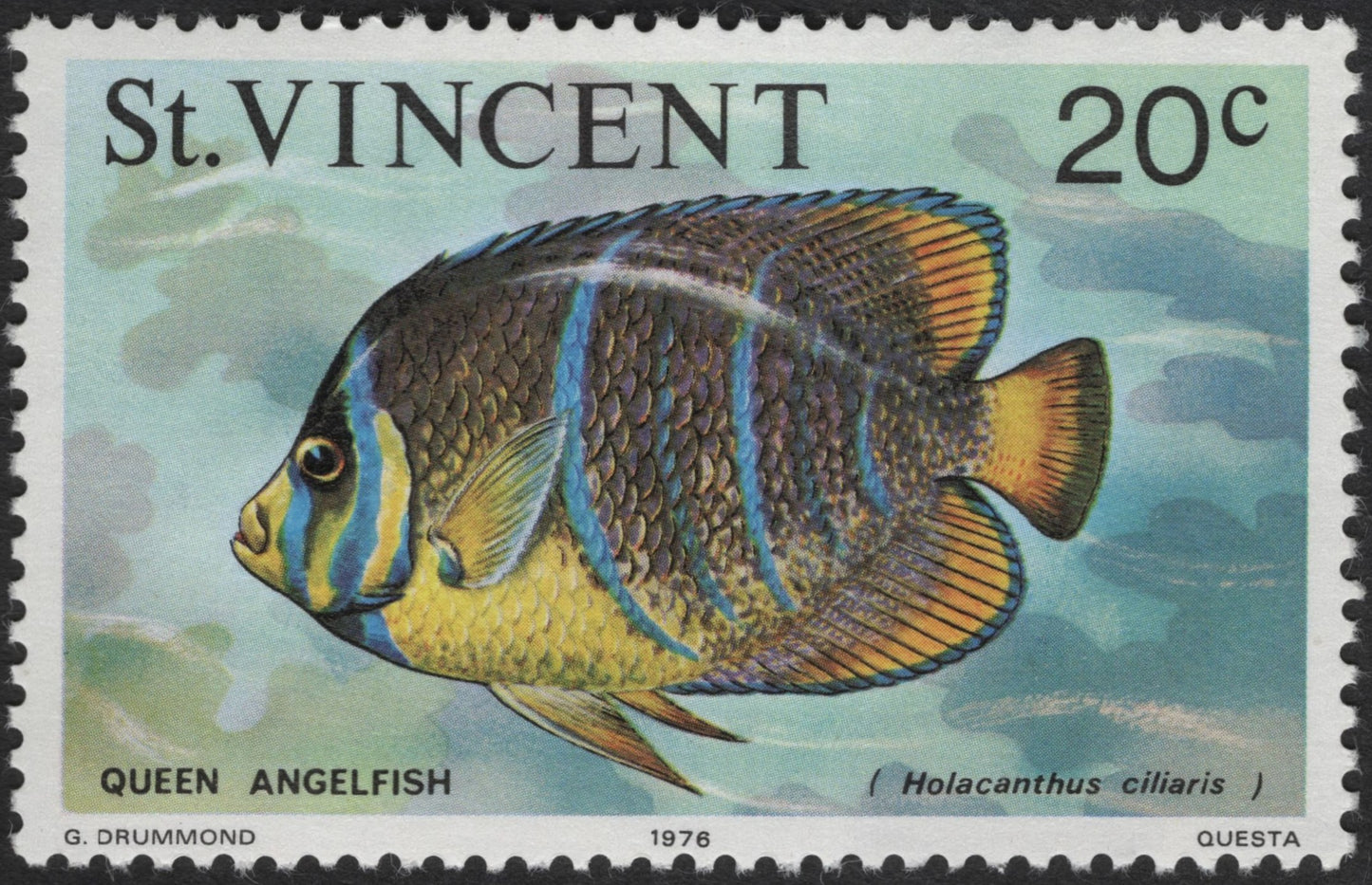SCG3160 - St. Vincent 1976 Queen Angelfish Stamp