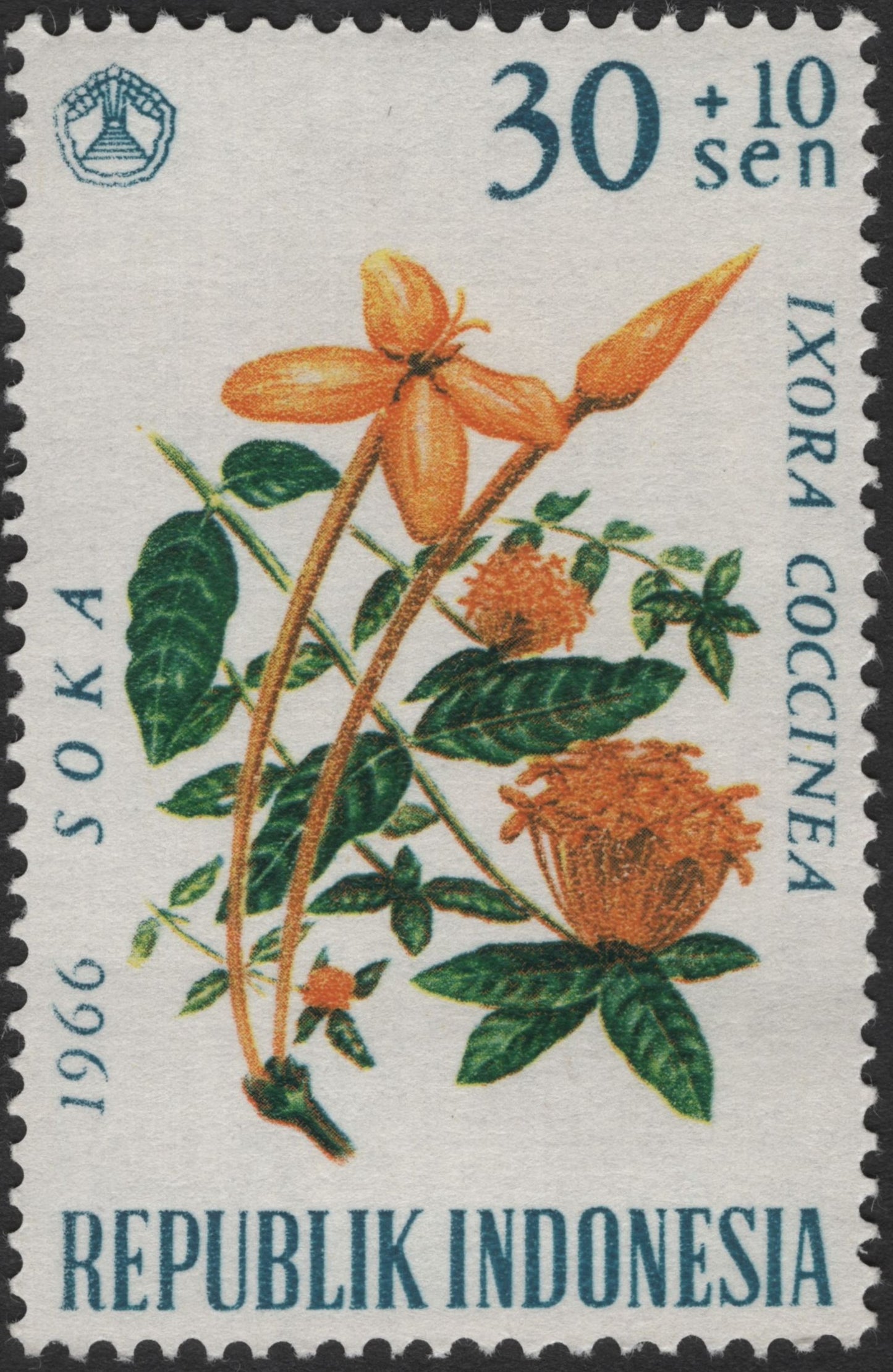 SCG3211 - 1966 Indonesia Ixora Coccinea (Soka) Flower Stamp