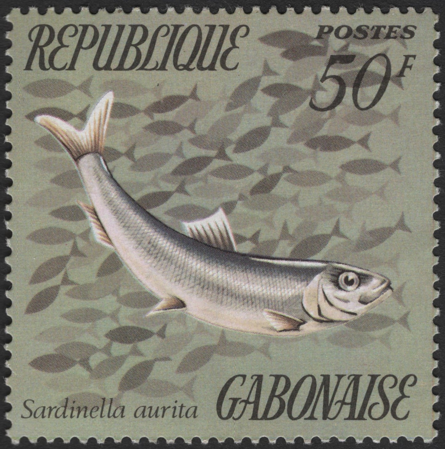 SCG3213 - Gabon 50F Sardinella aurita Stamp