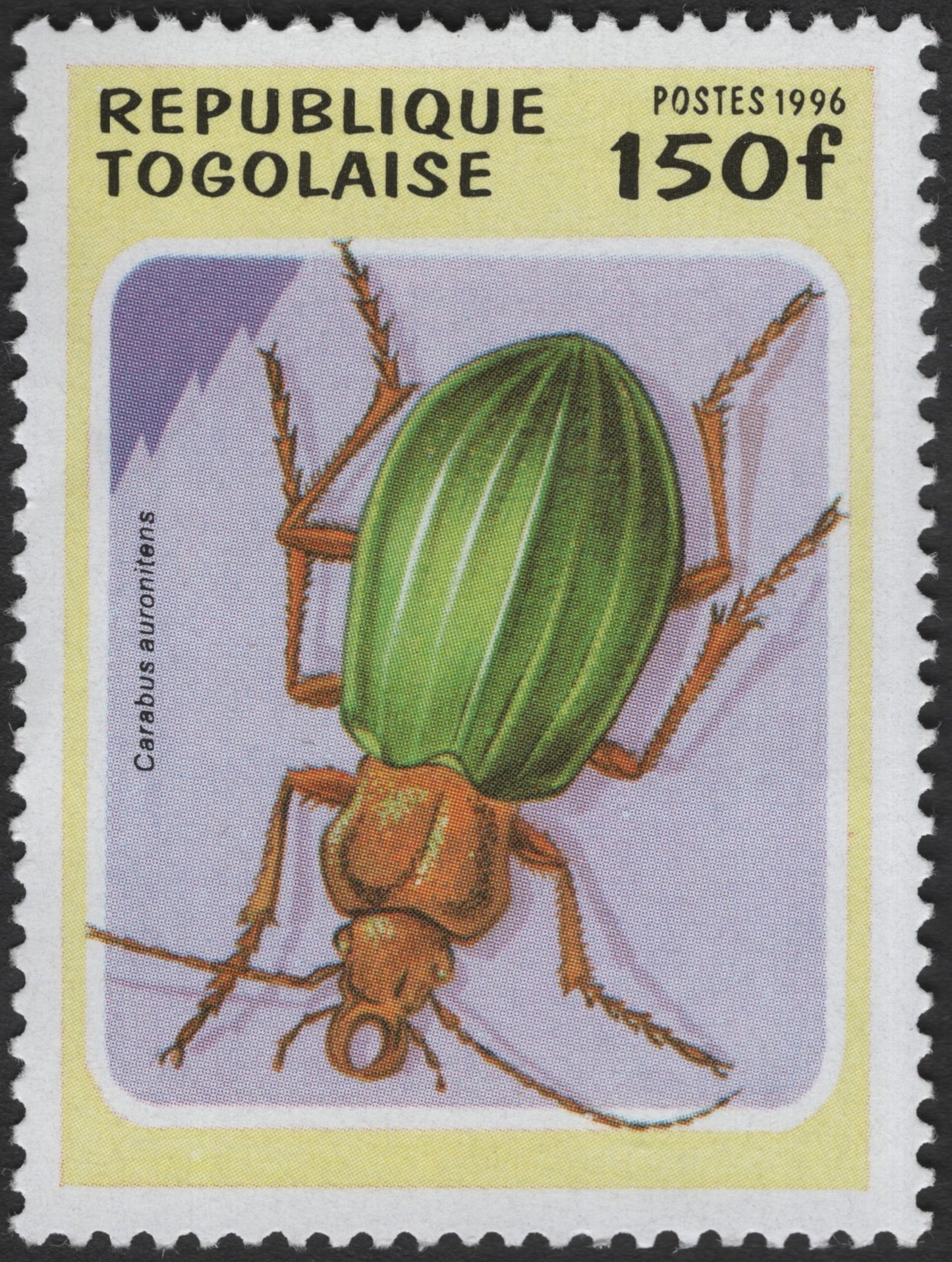 SCG3207 - Togo 1996 Carabus auronitens Beetle Stamp (150f)