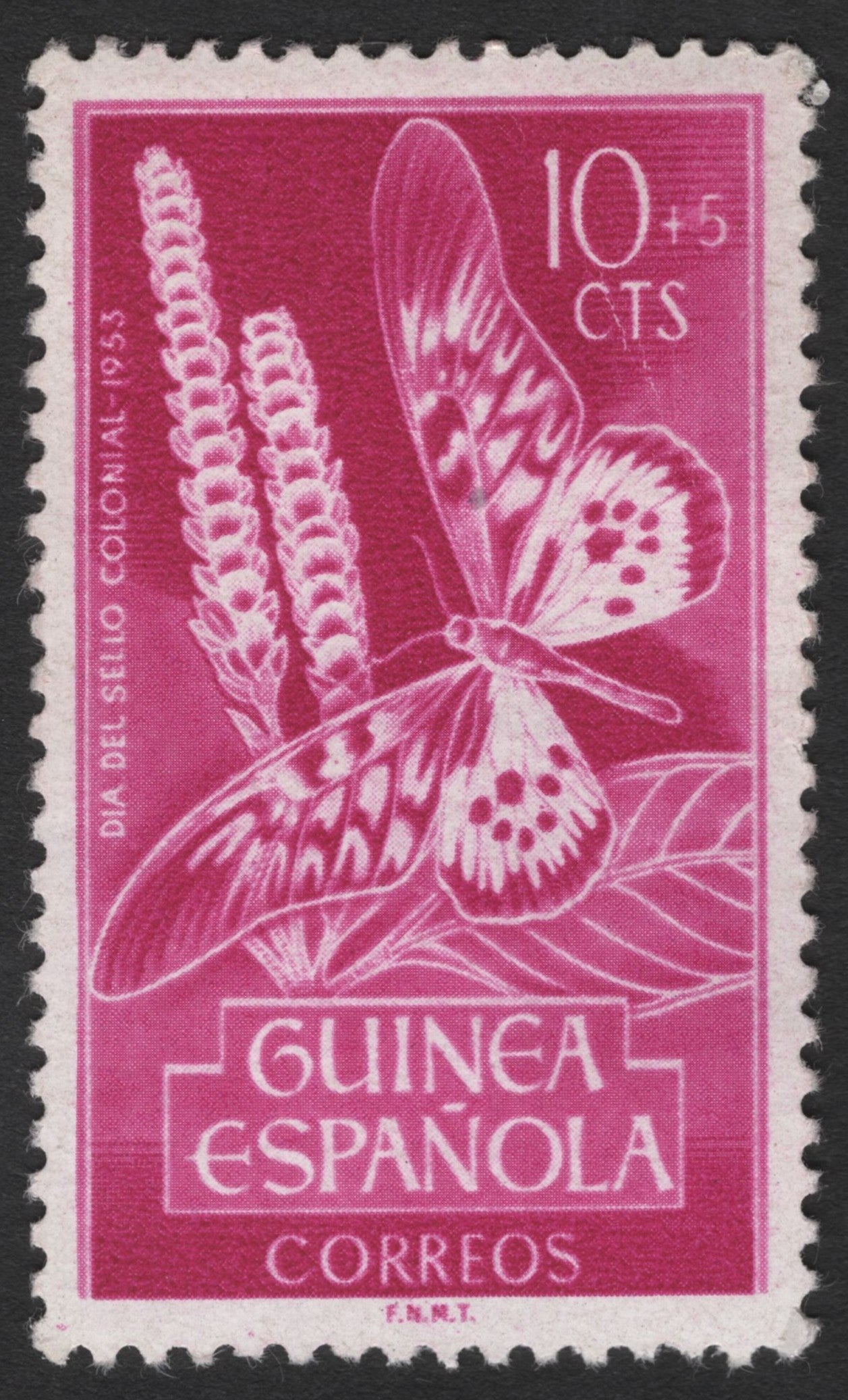 SCG3470 - 1953 Spanish Guinea Colonial Stamp – Butterfly & Flora (10+5 Cts)