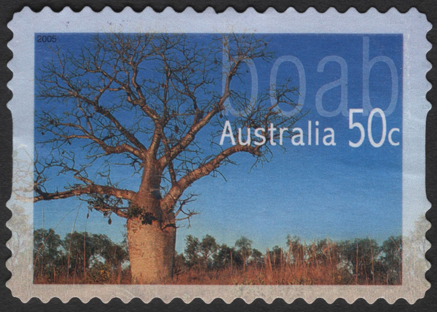 SCG3640 - Australia 2005 – Boab Tree 50c Stamp