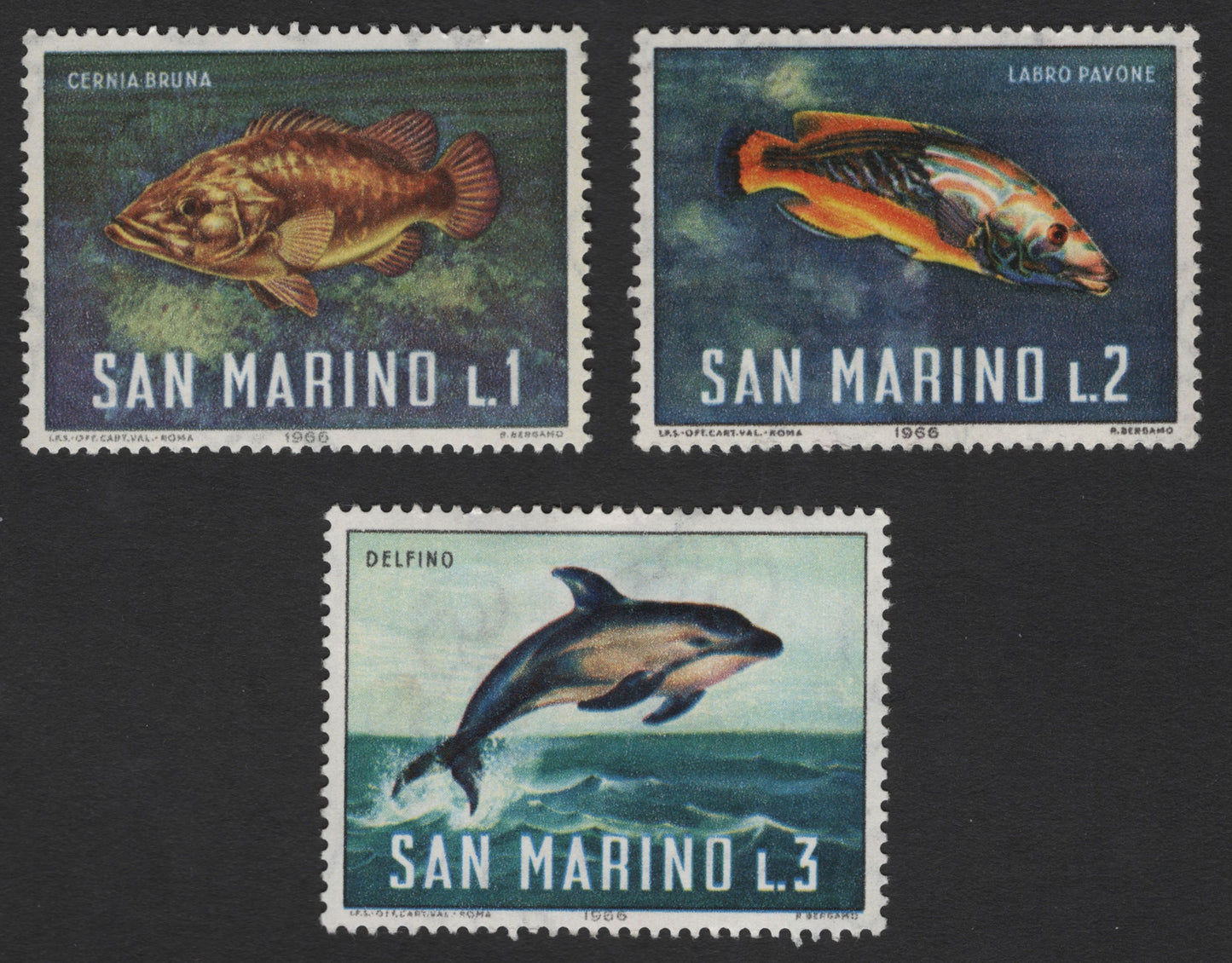 SCG3693 - San Marino 1966 Marine Life Series – Brown Grouper, Peacock Wrasse & Dolphin