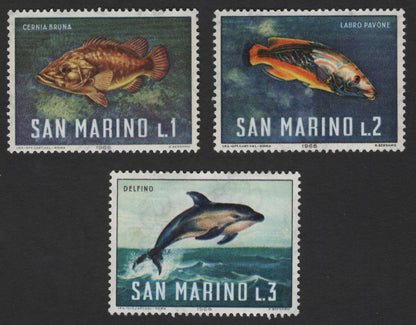 SCG3693 - San Marino 1966 Marine Life Series – Brown Grouper, Peacock Wrasse & Dolphin