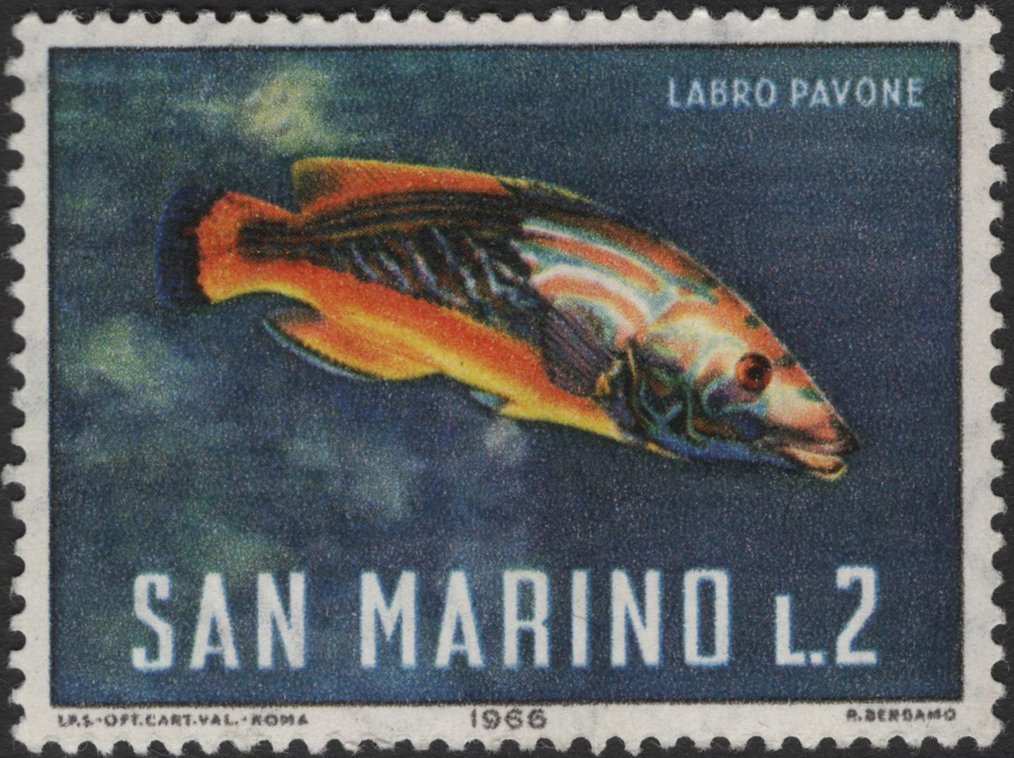SCG3693 - San Marino 1966 Marine Life Series – Brown Grouper, Peacock Wrasse & Dolphin