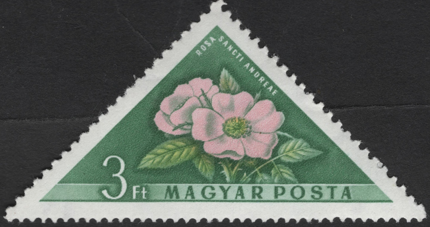 SCG3696 - Hungary 3 Ft "Rosa Sancti Andreae" Stamp
