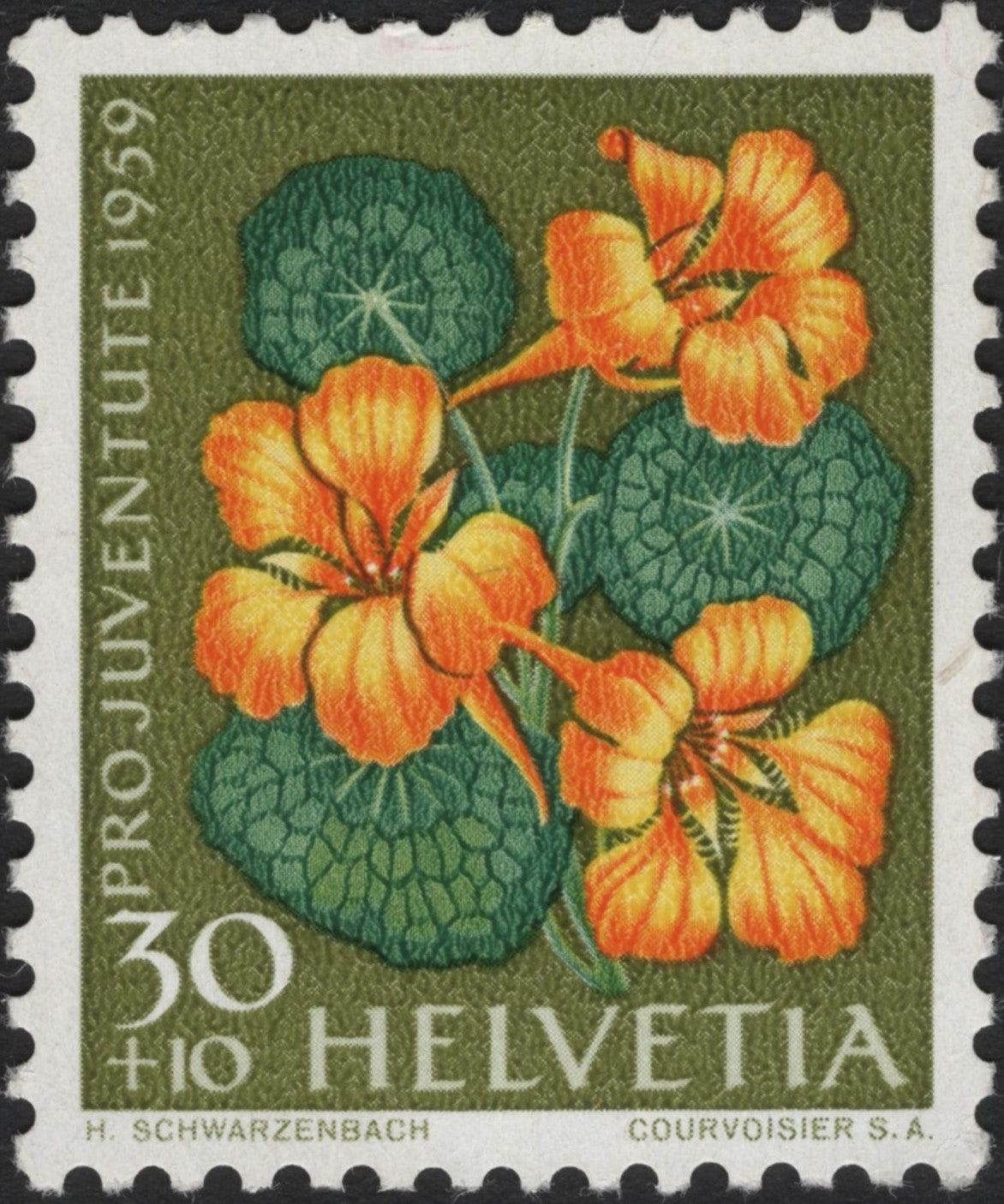 SCG3858 - Switzerland 1959 – Pro Juventute Nasturtium Stamp