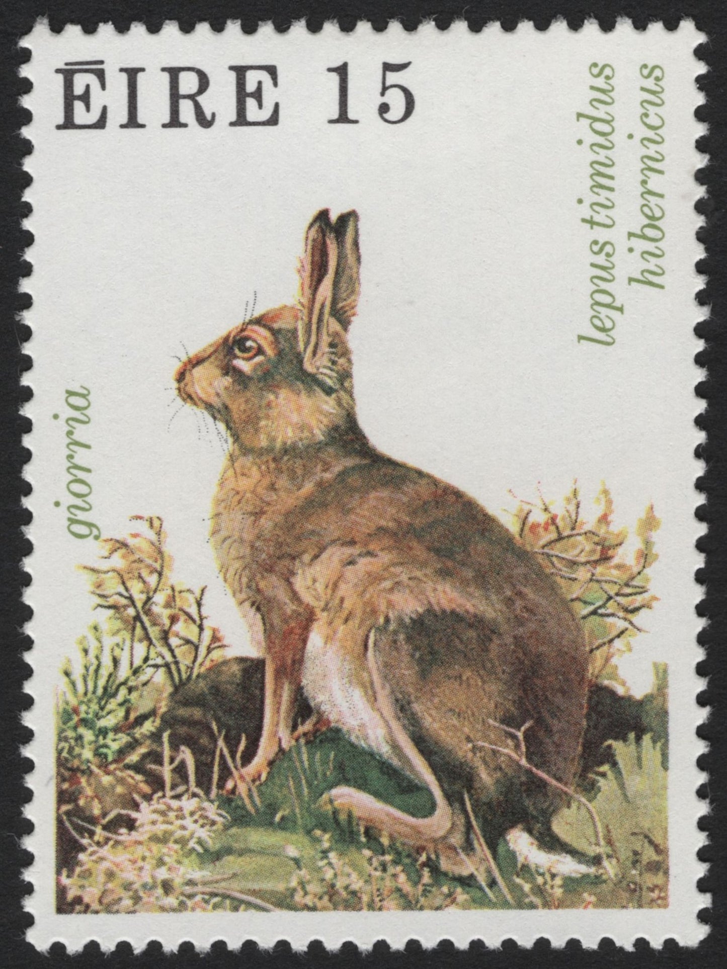 SCG3873 - Ireland 1970s – Irish Hare (Lepus timidus hibernicus) – 15p