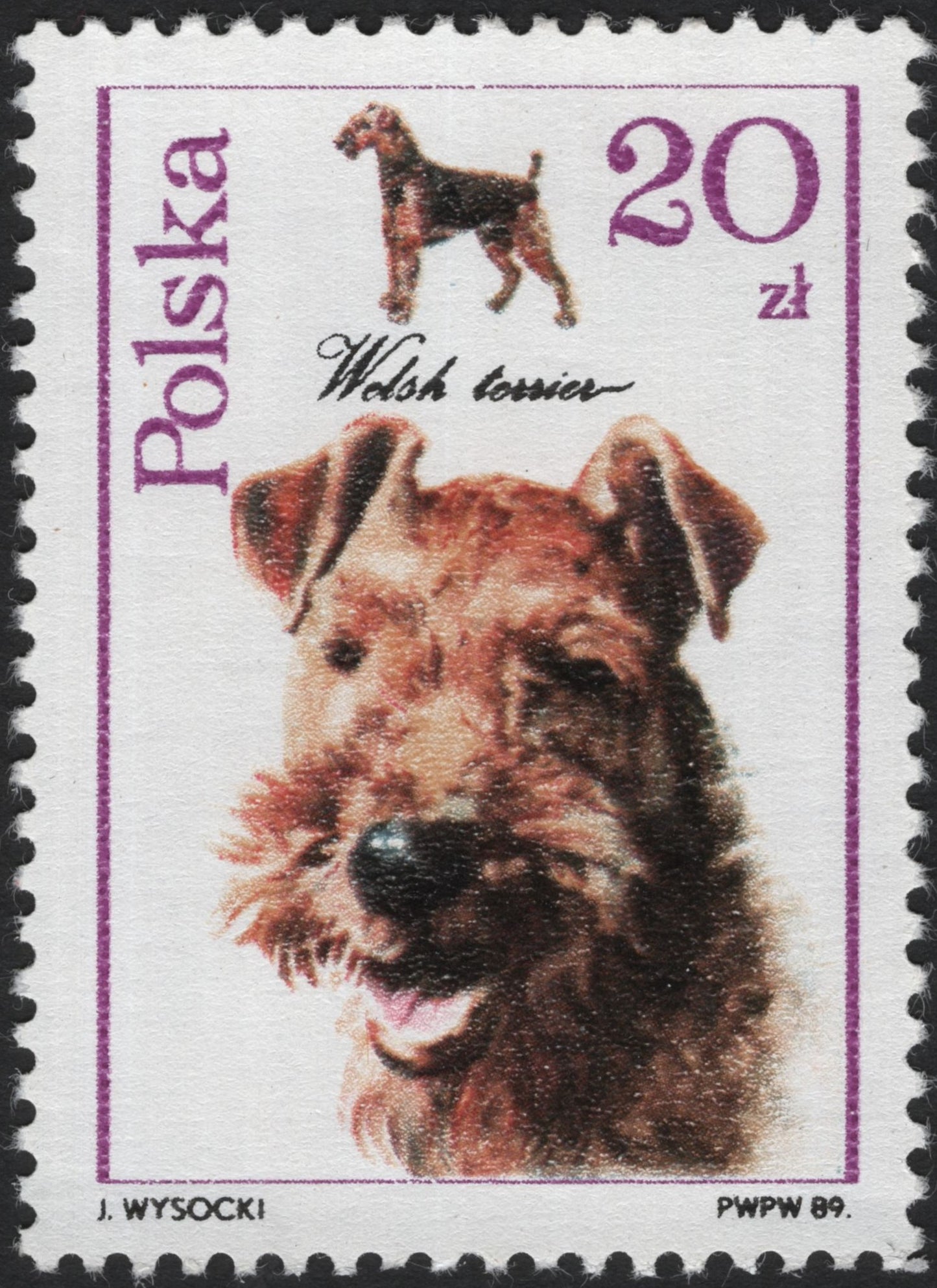 SCG3882 - Poland 1989 – Welsh Terrier (20 zł)