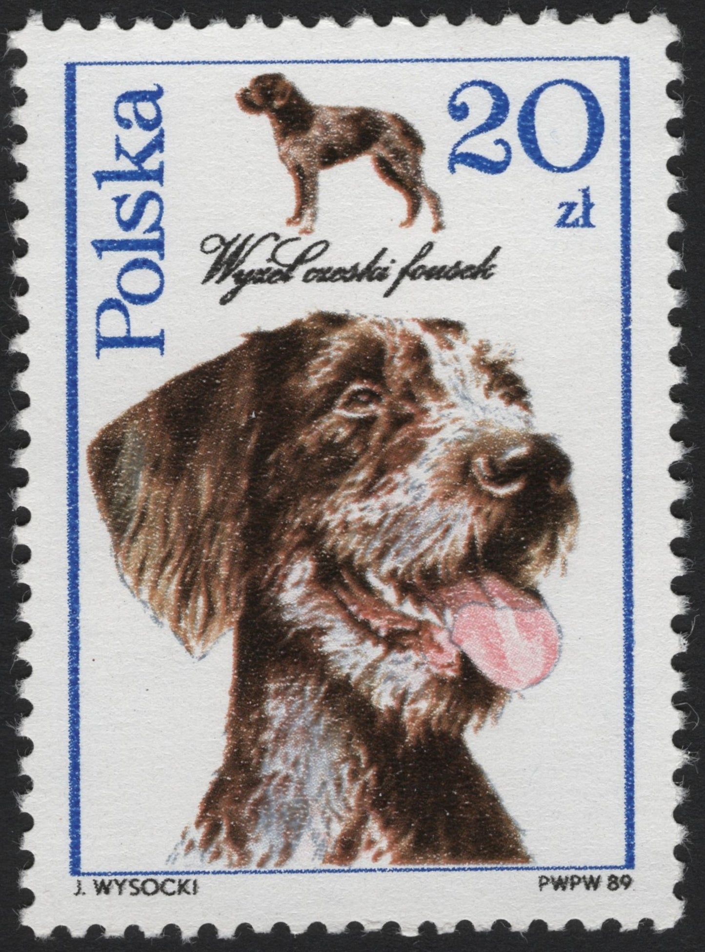 SCG3874 - Poland 1989 – Cesky Fousek Hunting Dog (20 zł)