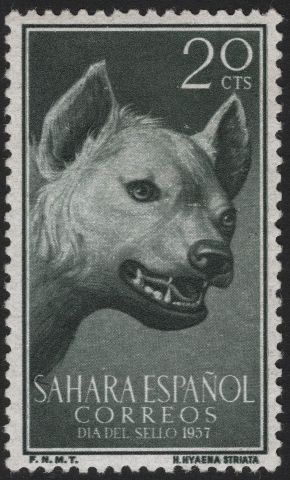 SCG3878 - Spanish Sahara – Striped Hyena (1957)