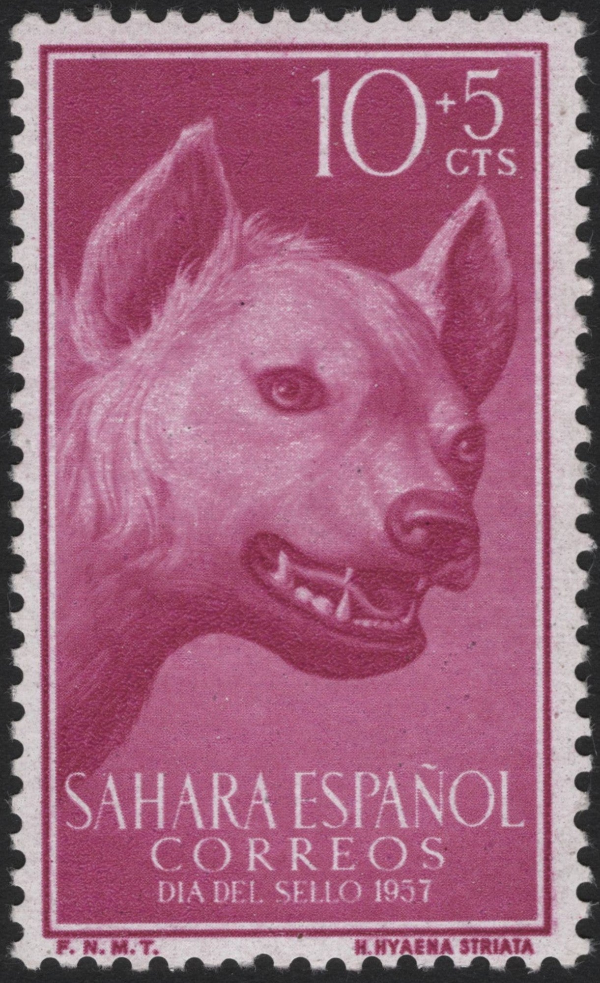 SCG3879 - Spanish Sahara 1957 – Striped Hyena (Hyaena striata)