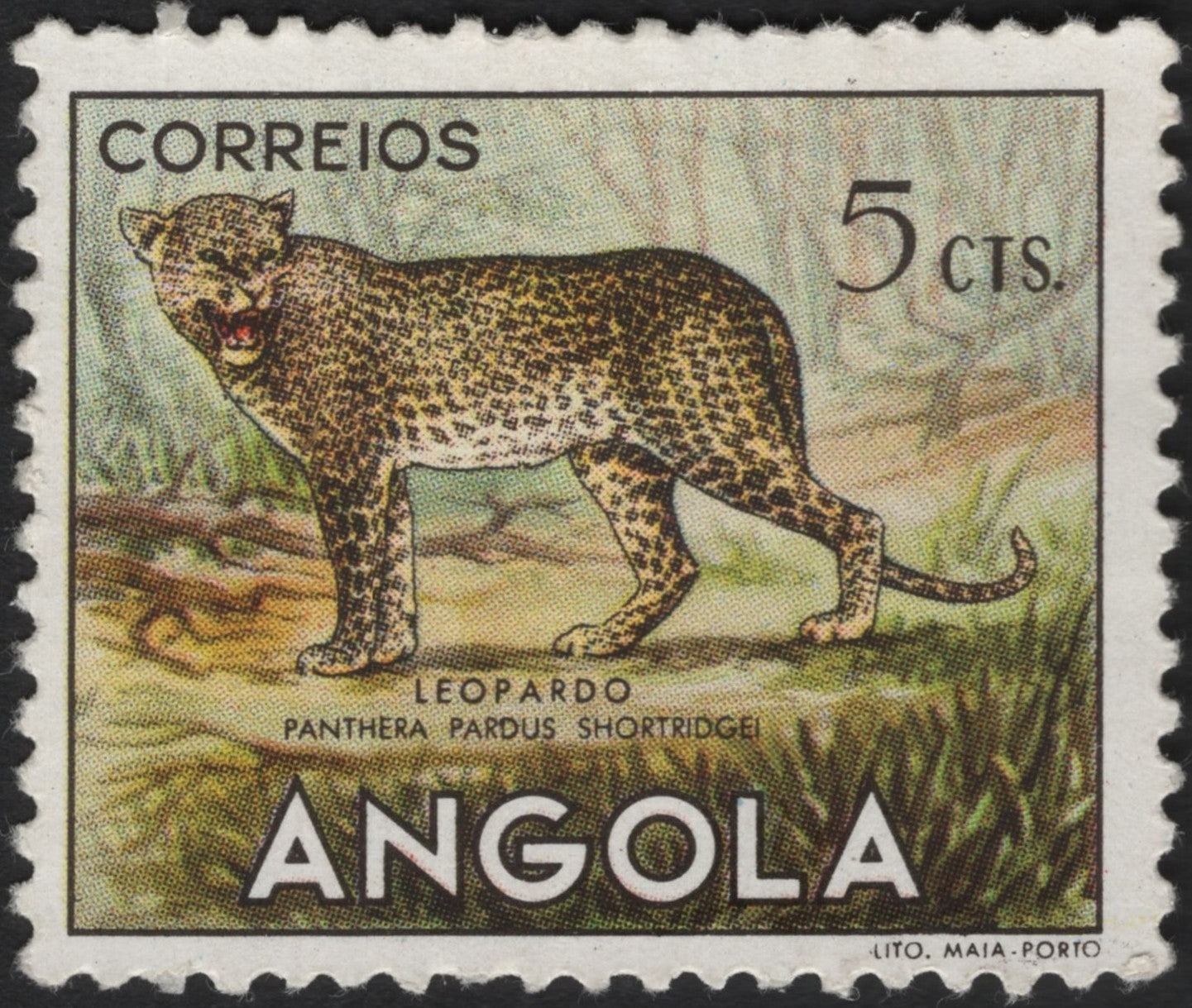 SCG3905 - Angola – Leopard (Panthera pardus shortridgei) – 5 Centavos