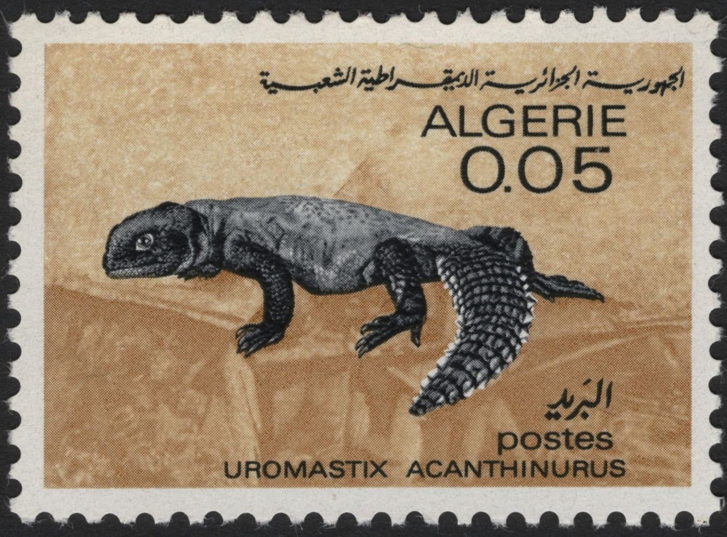 SCG3910 -Algeria 0.05 Dinar – Uromastyx Acanthinurus (Spiny-tailed Lizard)