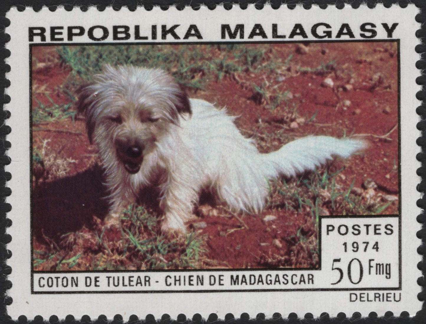 SCG3911 - Madagascar 1974 – Coton de Tuléar Dog (50 Fmg)