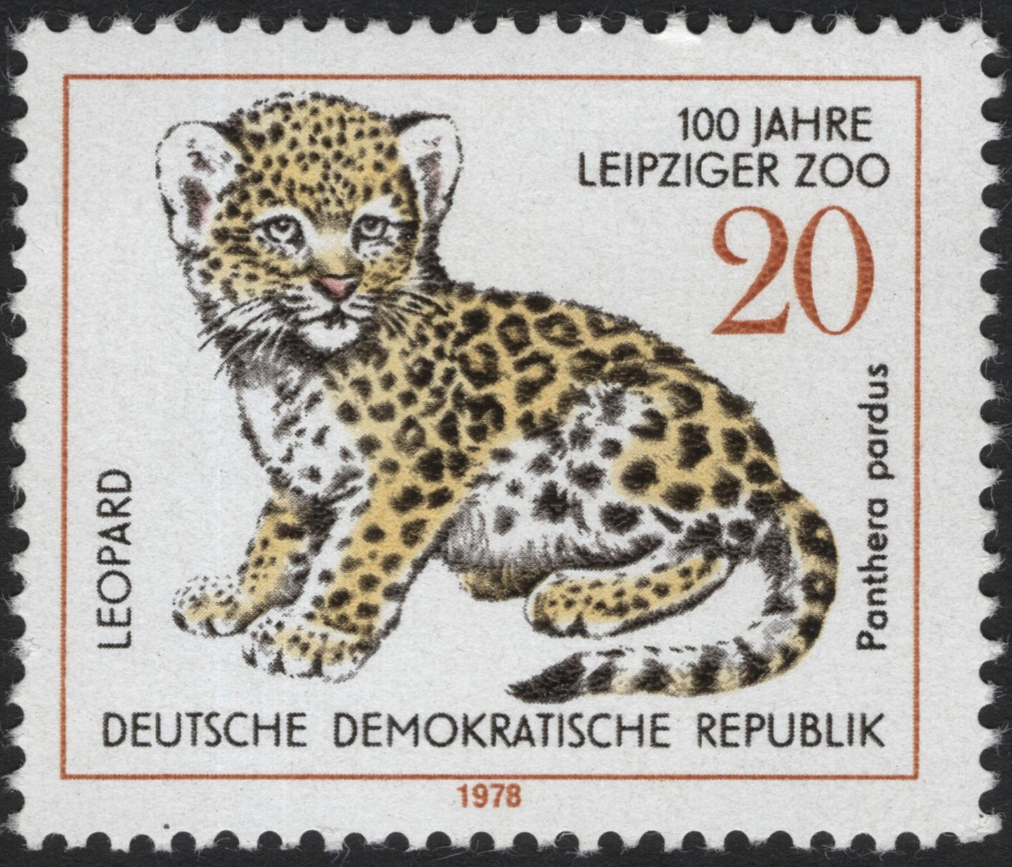 SCG3894 - East Germany (DDR) 1978 – Leopard Cub, Leipzig Zoo Centenary
