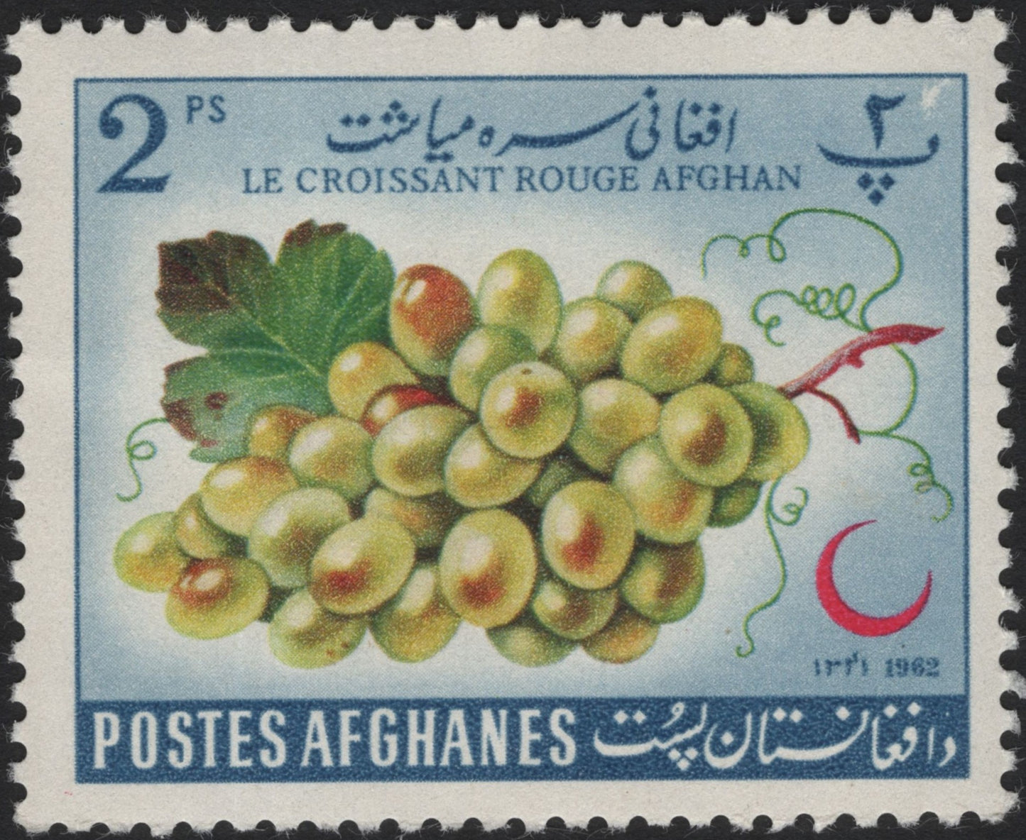 SCG4041 - Afghanistan 1962 – Grapes, Red Crescent Issue