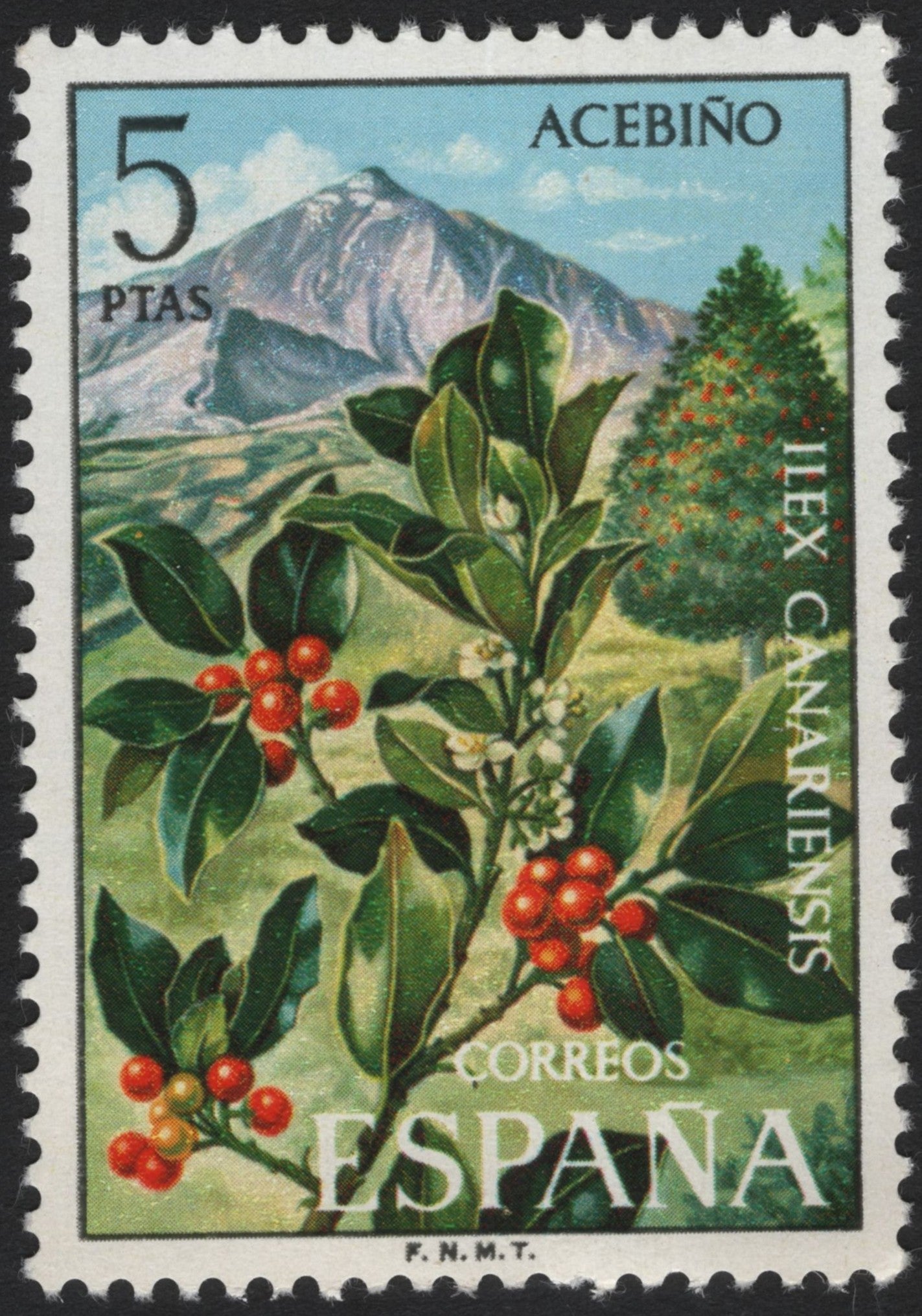 SCG4024 - Spain 1967 – Canary Holly (Ilex Canariensis)
