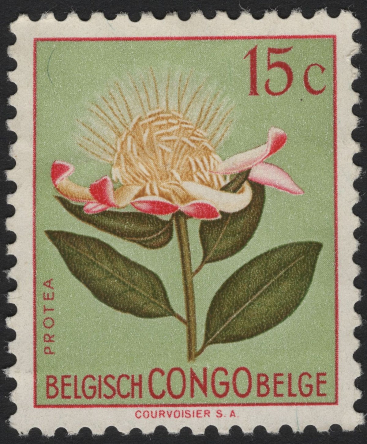 SCG4074 - Belgian Congo 1952 – Protea Flower (15 Centimes)