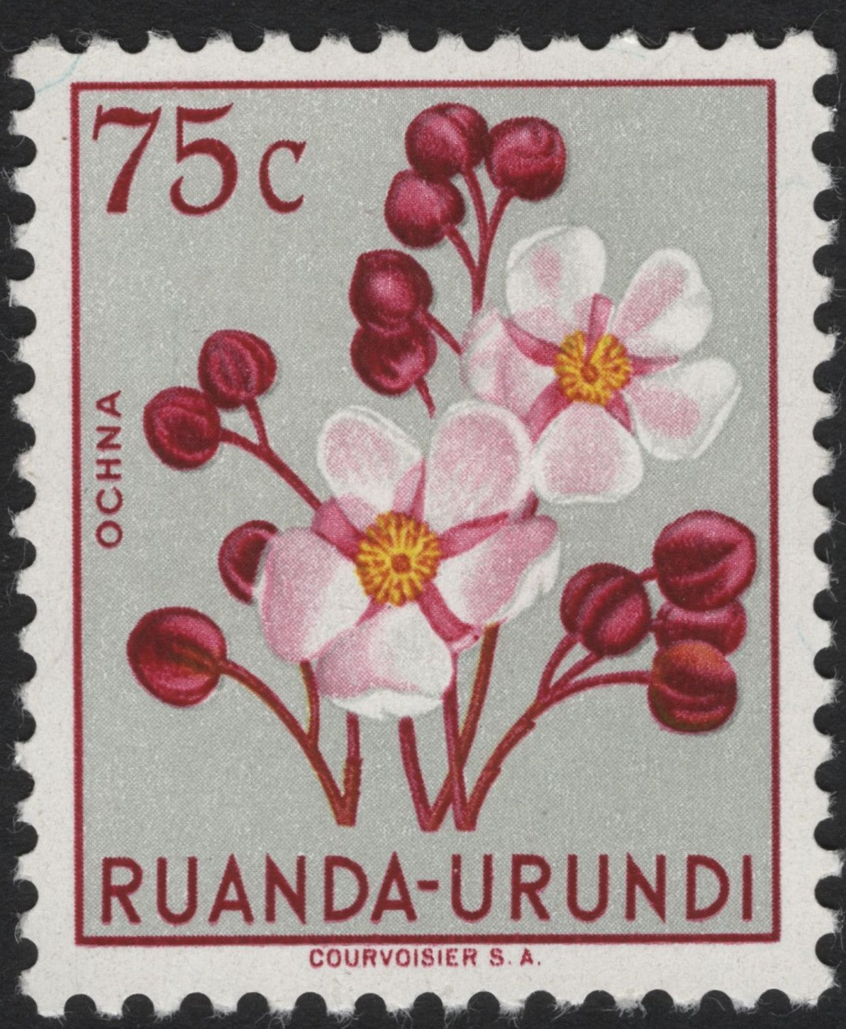 SCG4078 - Ruanda-Urundi 1963 – Ochna Flower (75c)
