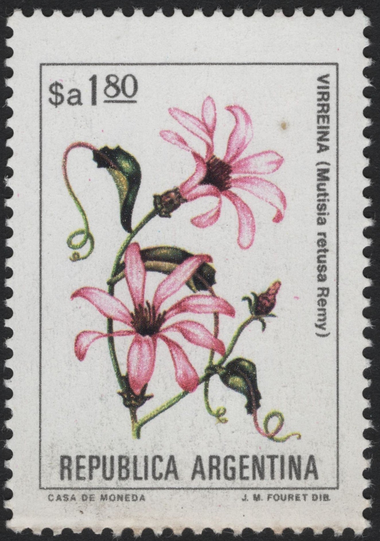 SCG4079 - Argentina 1980 – Virreina Flower (Mutisia retusa)