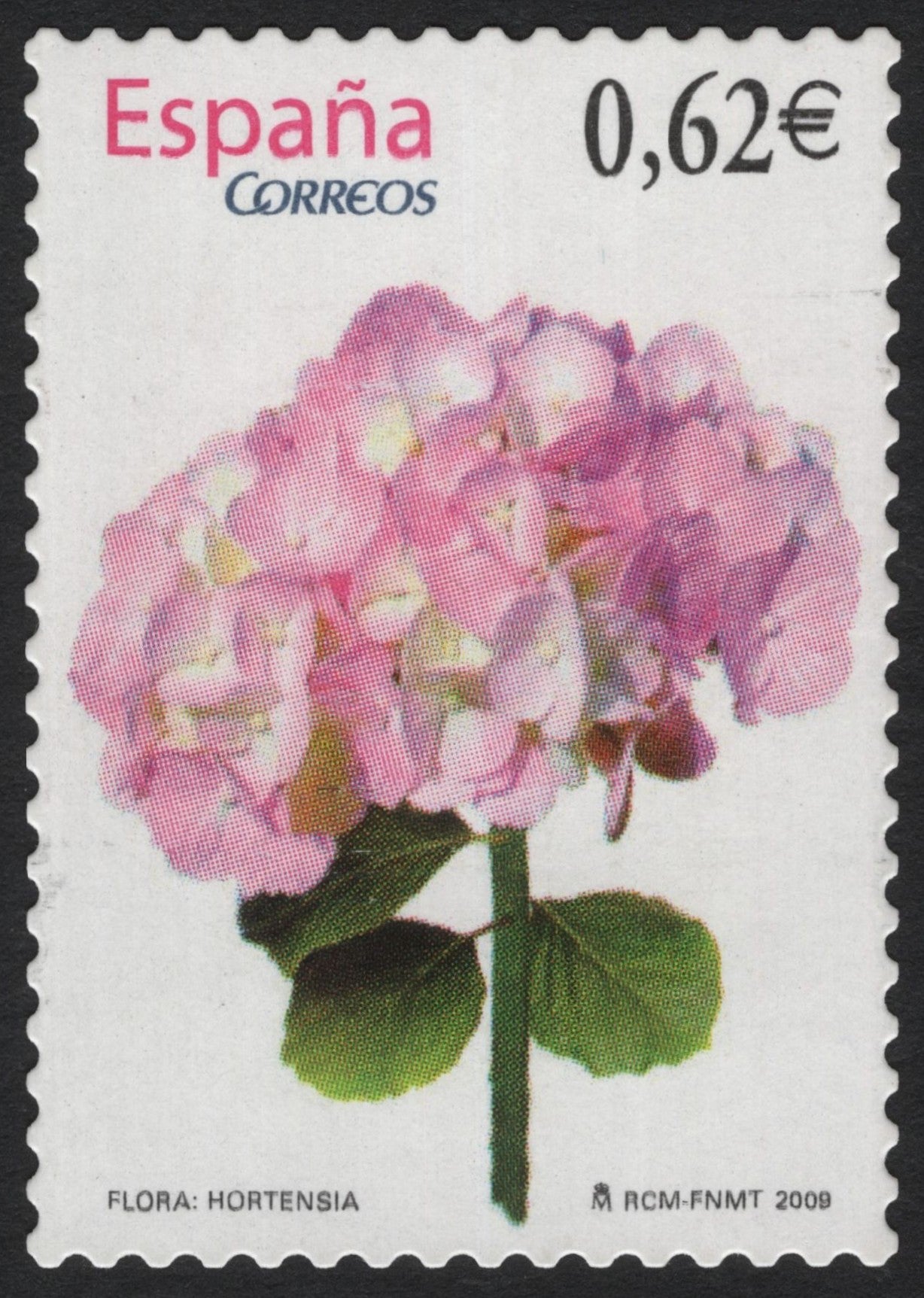 SCG4082 - Spain 2009 – Hydrangea (Hortensia) Stamp