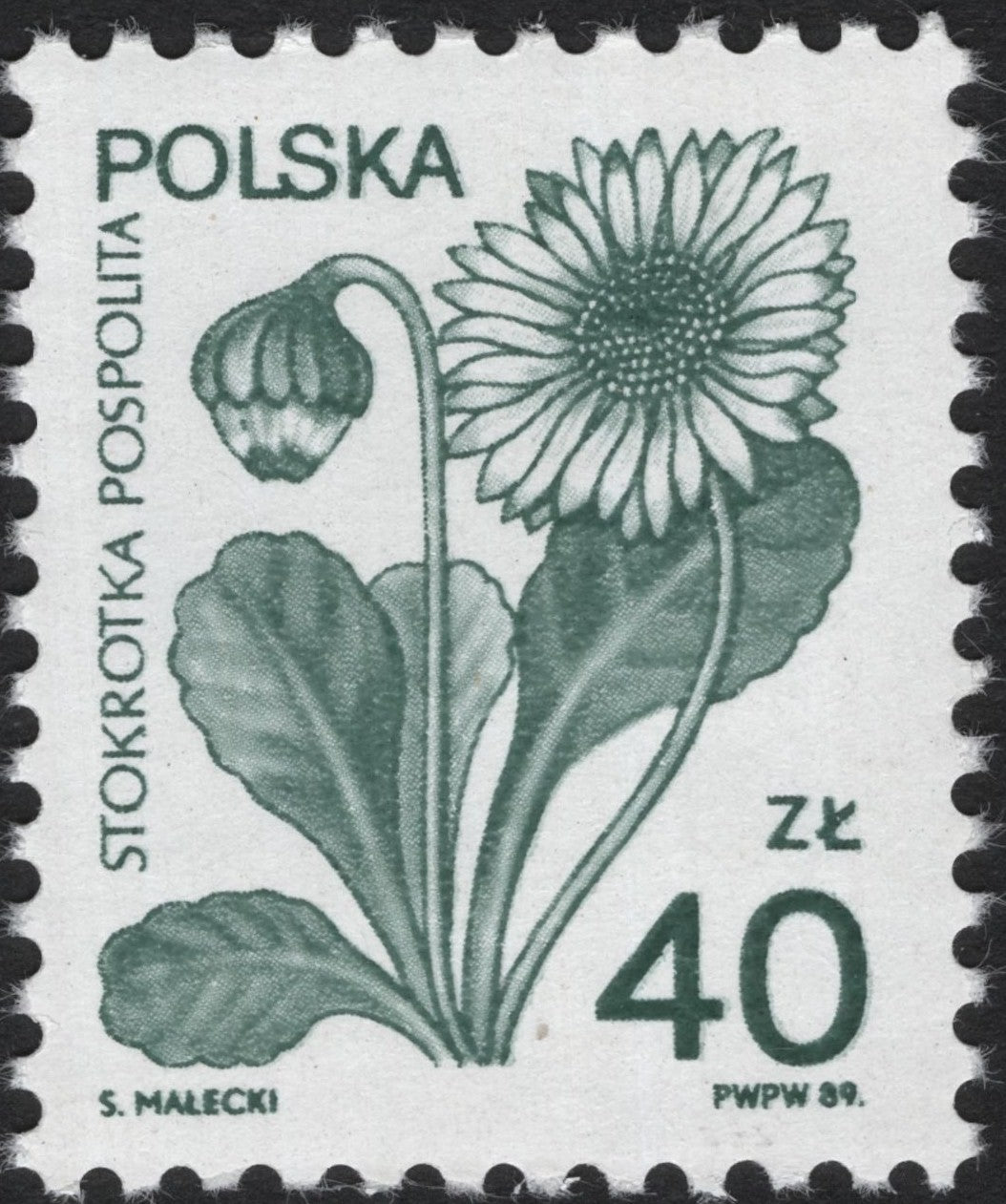 SCG4087 - Poland 1989 – Daisy (Stokrotka Pospolita)