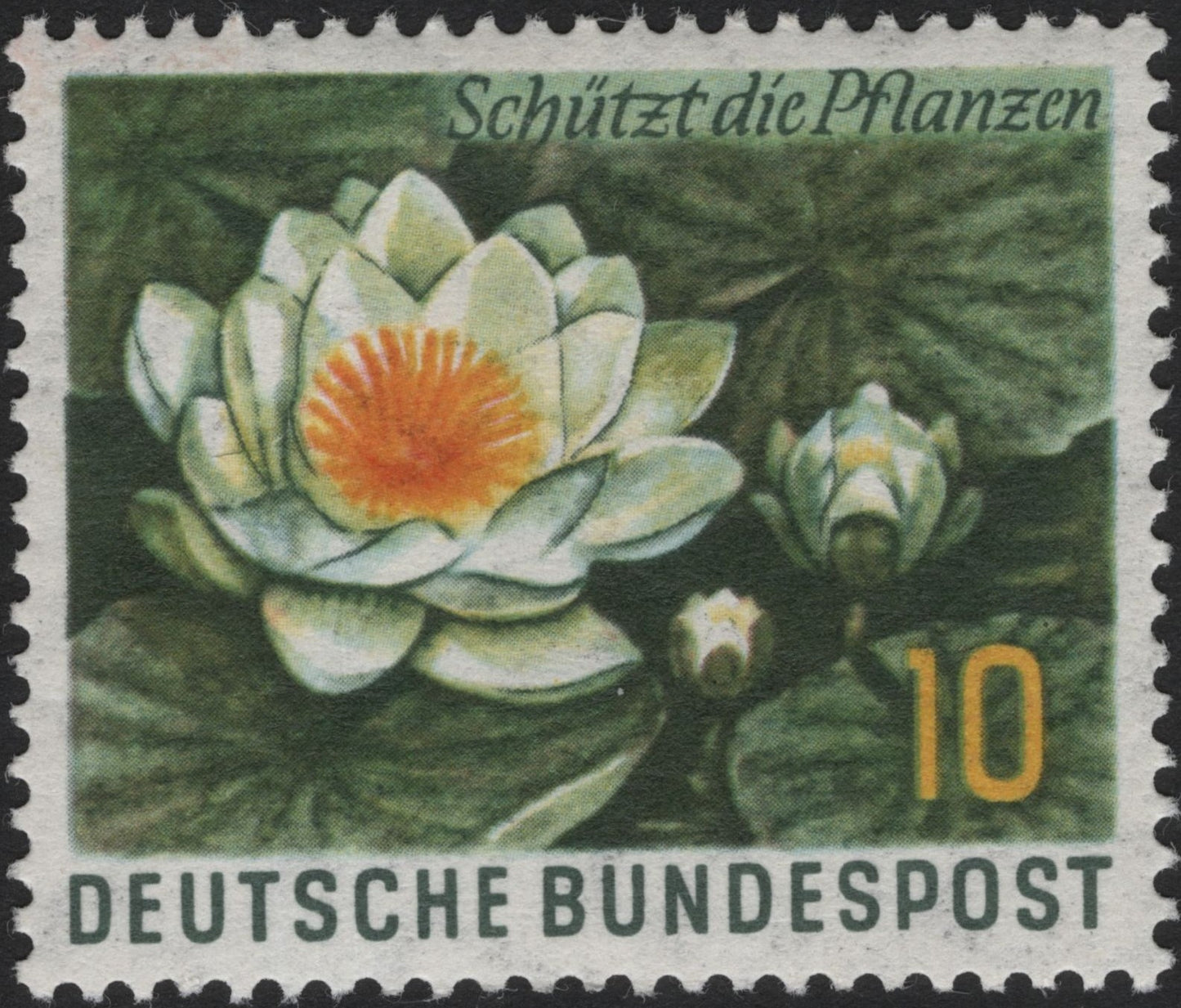 SCG4070 - Germany 1964 – White Water Lily, Plant Protection Issue