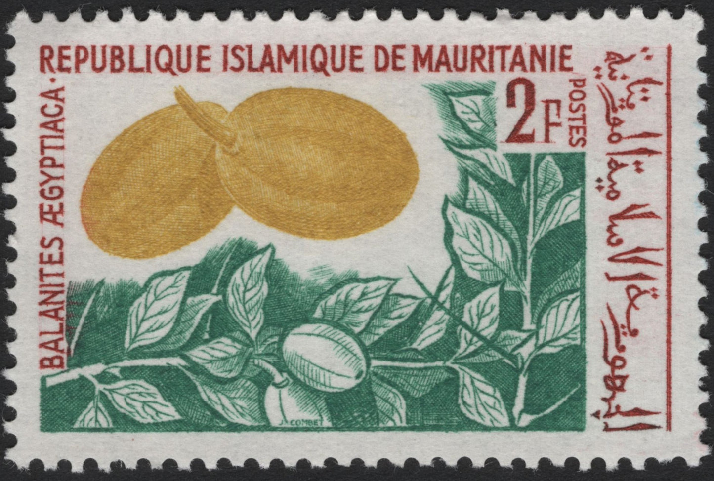 SCG4025 - Mauritania 1963 – Balanites Aegyptiaca (Desert Date) – 2F