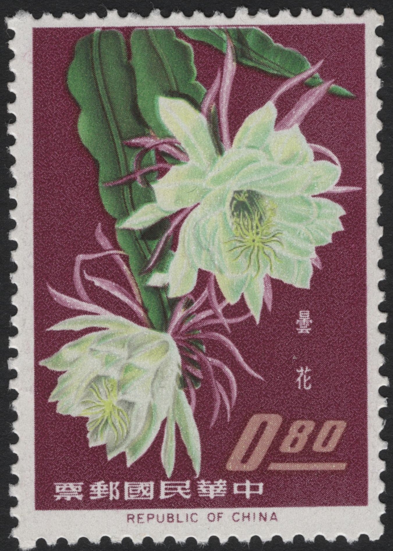 SCG4060 - Taiwan 1960 – Epiphyllum Oxypetalum ("Queen of the Night") Stamp