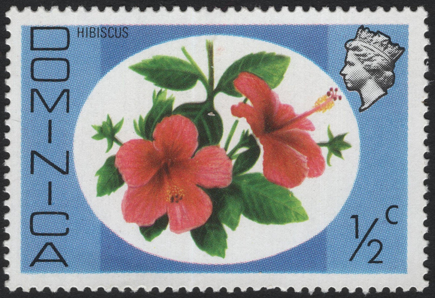 SCG4047 - 🌺 Dominica – Hibiscus Stamp (½ Cent)