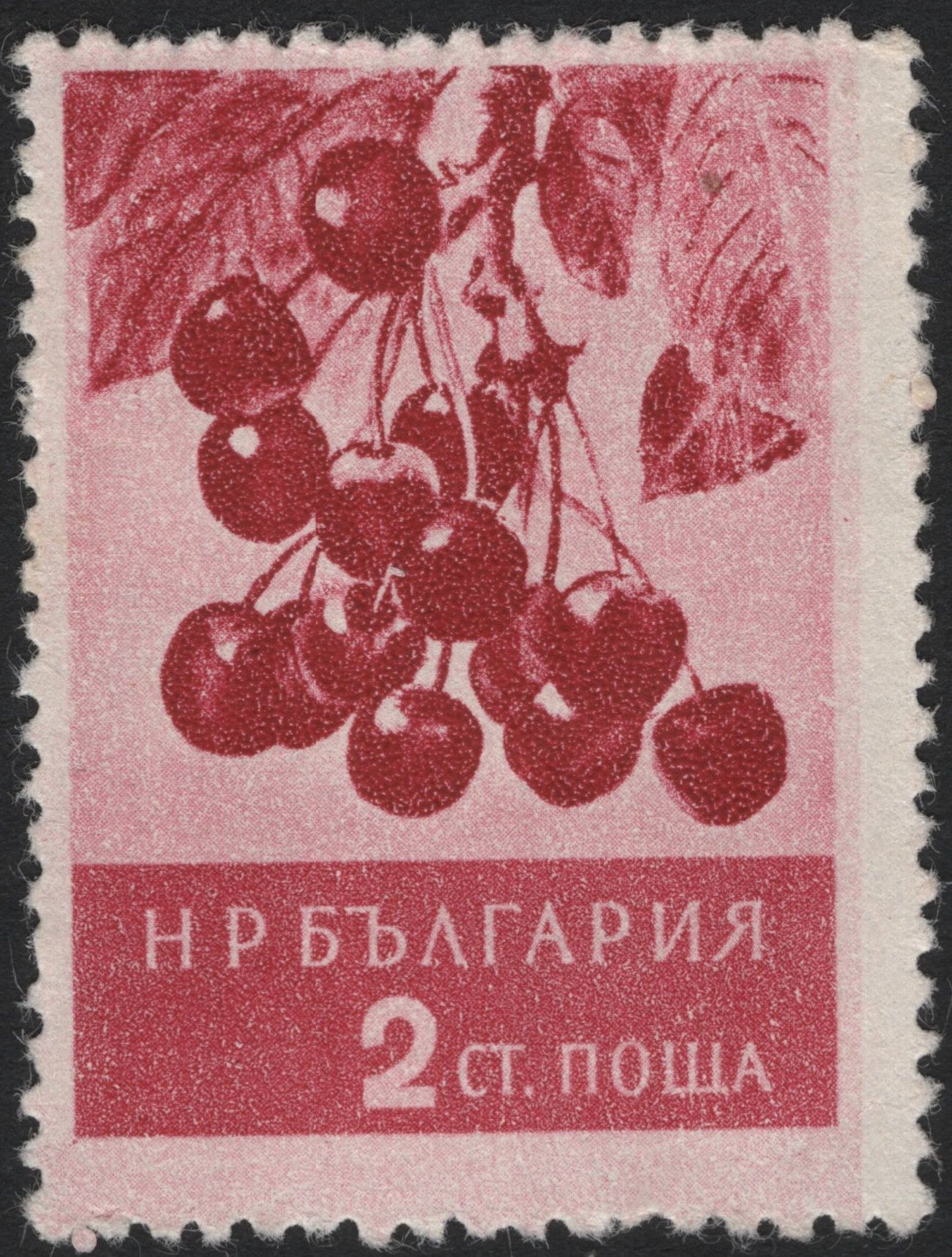 SCG4016 - Bulgaria 2 Stotinki – Cherries (1950s–1960s)