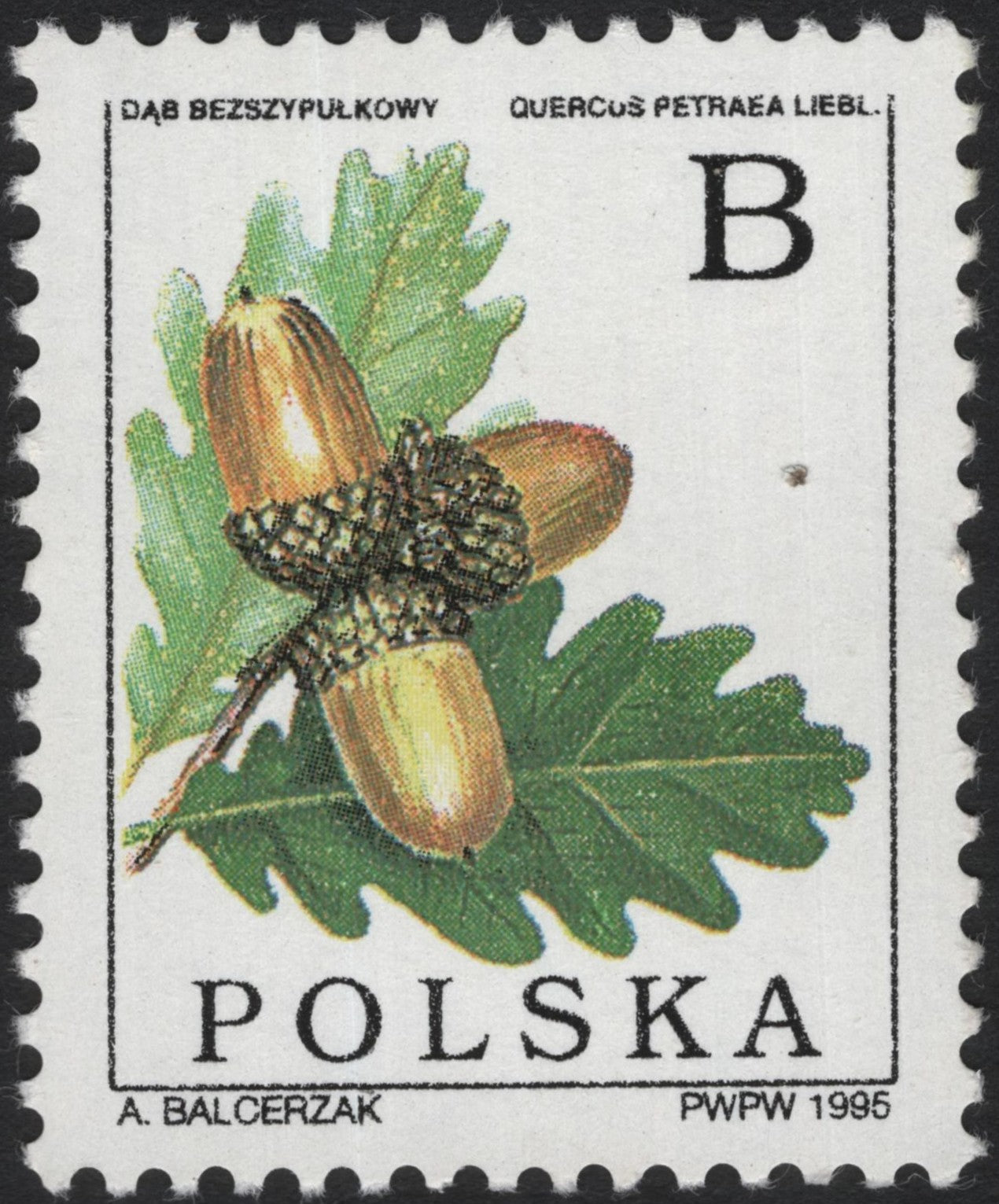 SCG4017 - Poland 1995 – Sessile Oak (Quercus petraea) Stamp
