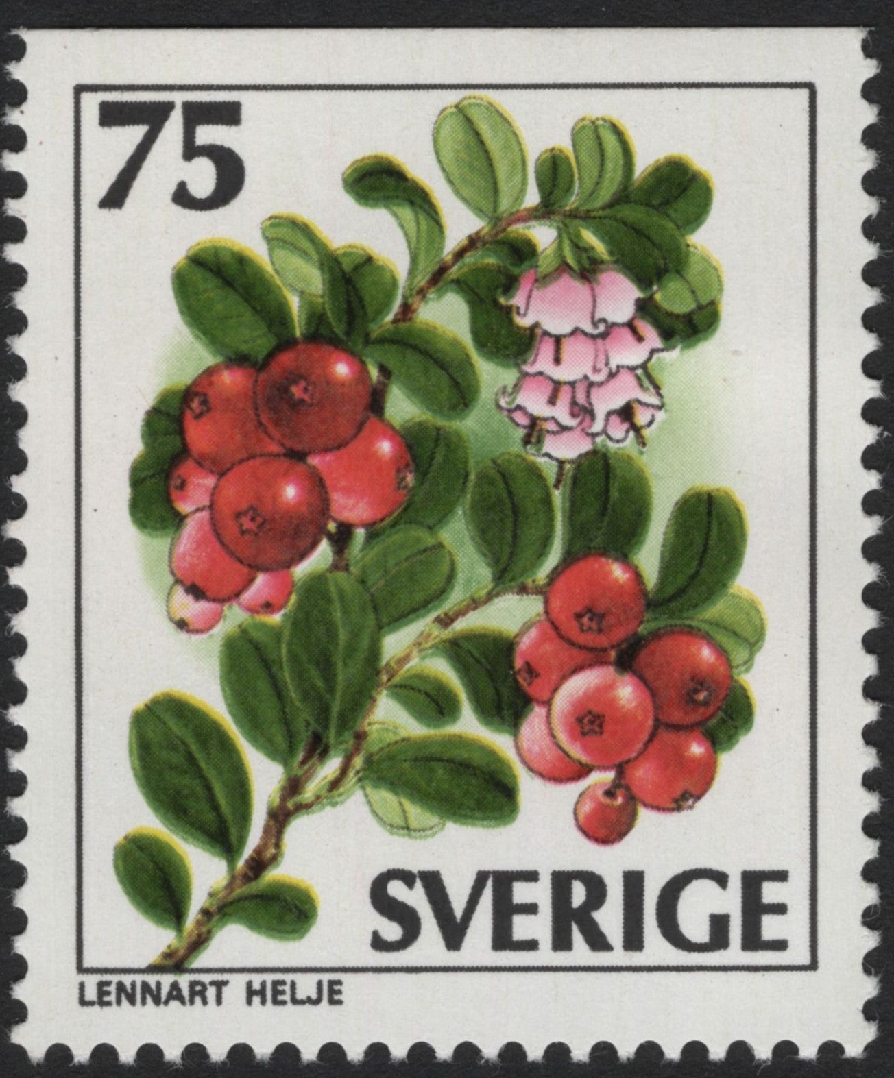 SCG4020 - Sweden 1975 – Lingonberry (Vaccinium vitis-idaea) – 75 öre