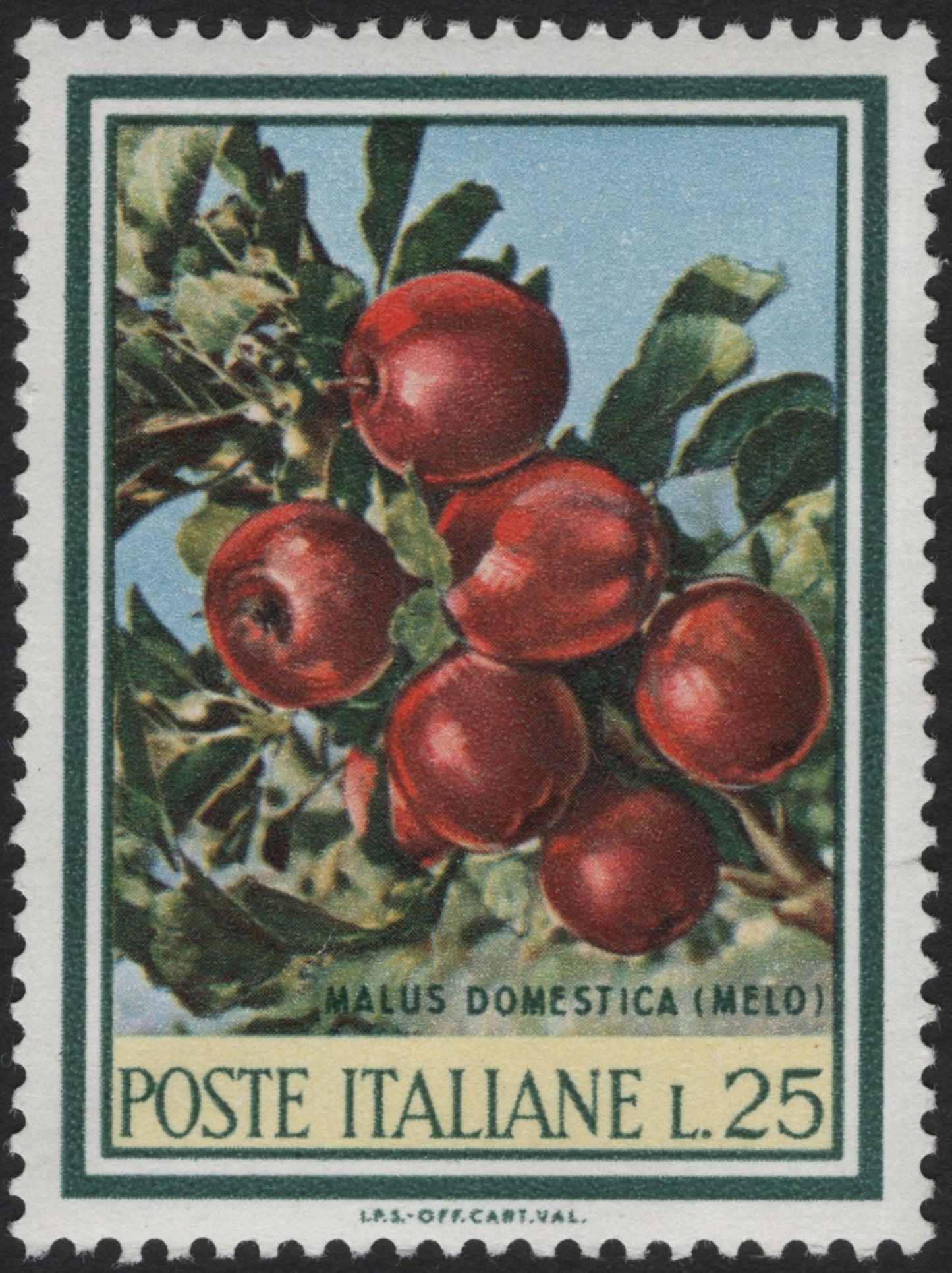 SCG4008 - Italy 1969 – Malus Domestica (Apple Tree) – 25 Lire