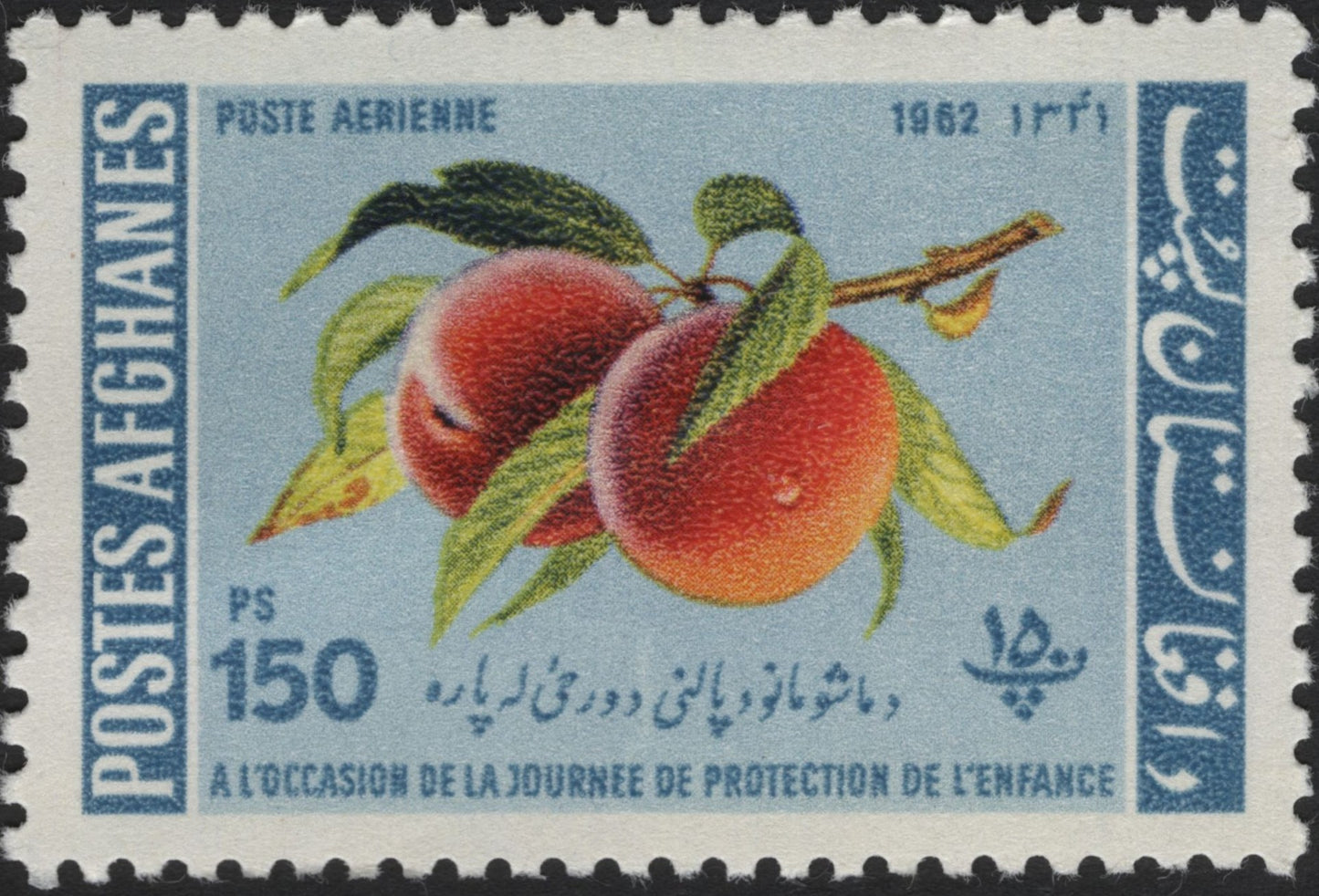 SCG4009 - Afghanistan 1962 – Airmail Stamp with Peaches