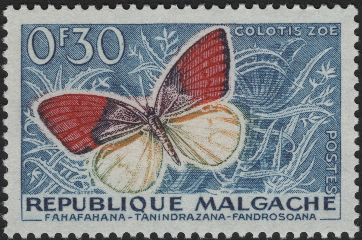 SCG4110 - Madagascar 1961 – Colotis Zoe Butterfly