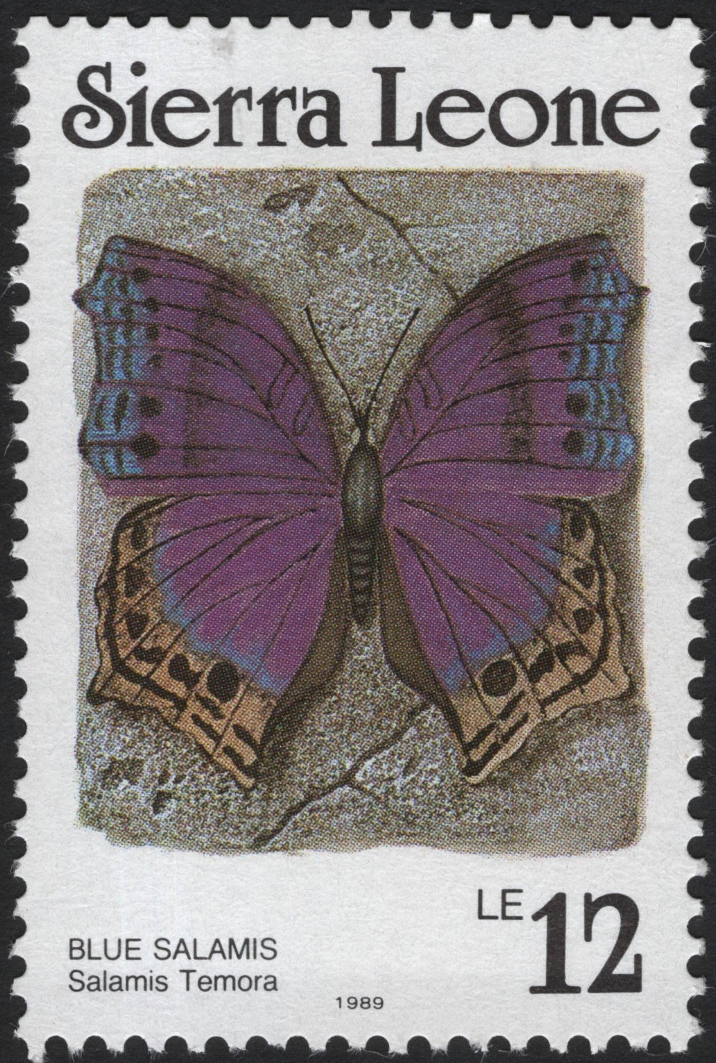 SCG4112 - Sierra Leone 1989 – Blue Salamis Butterfly