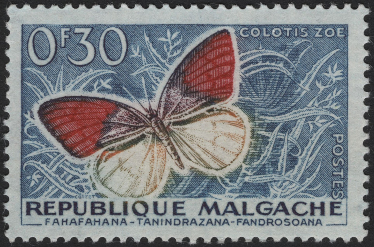 SCG4114 - Madagascar 1960 – Colotis Zoe Butterfly, 0.30f