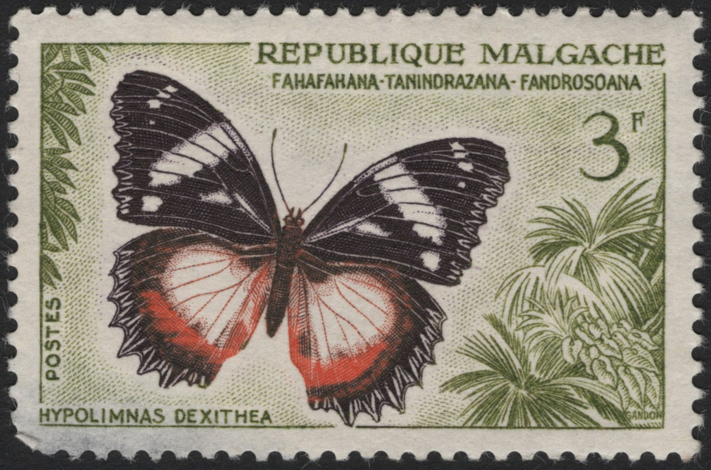 SCG4115 - Madagascar 1960s – Hypolimnas Dexithea Butterfly