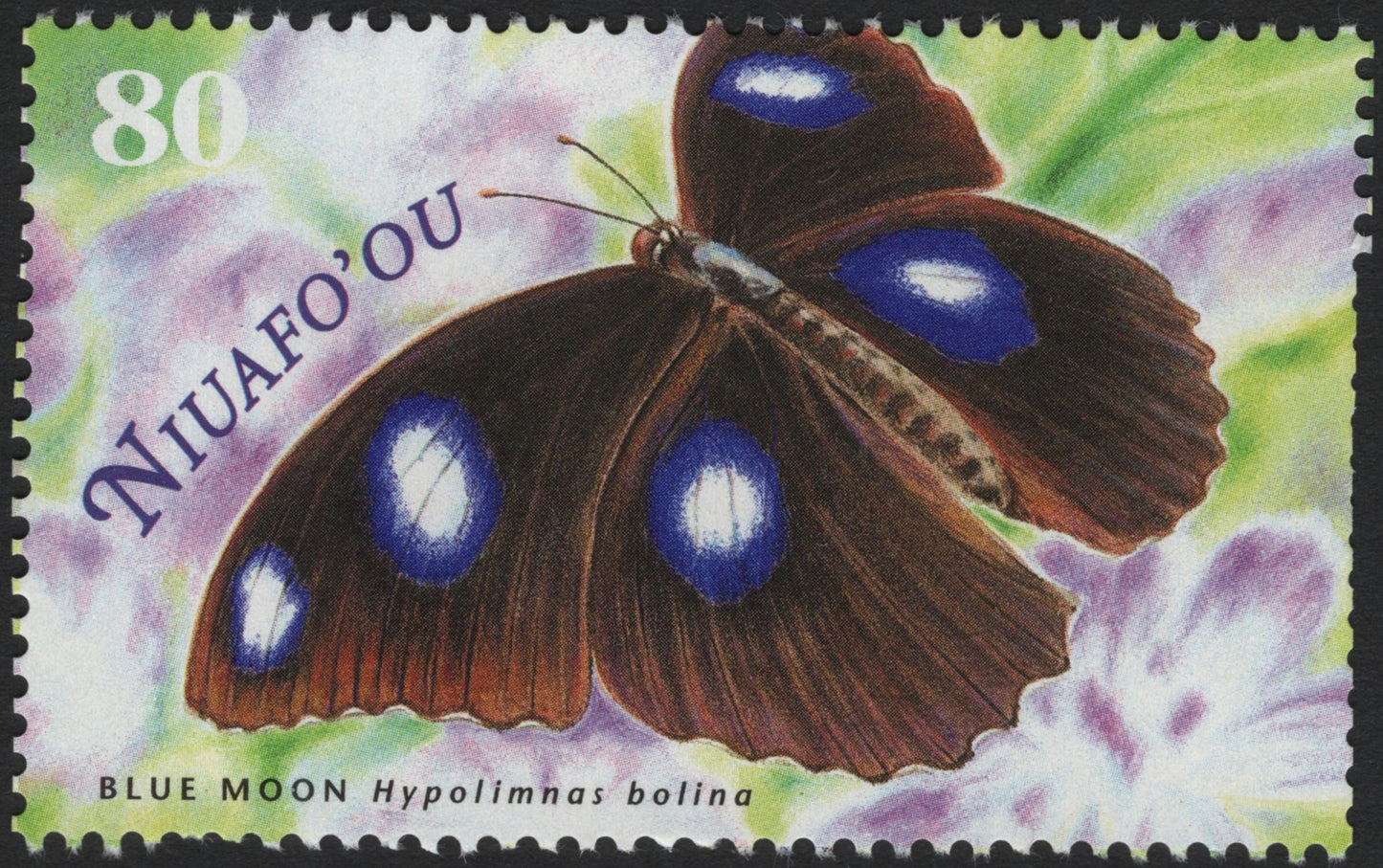 SCG4116 - Niuafoʻou 80s – Blue Moon Butterfly (Hypolimnas bolina)