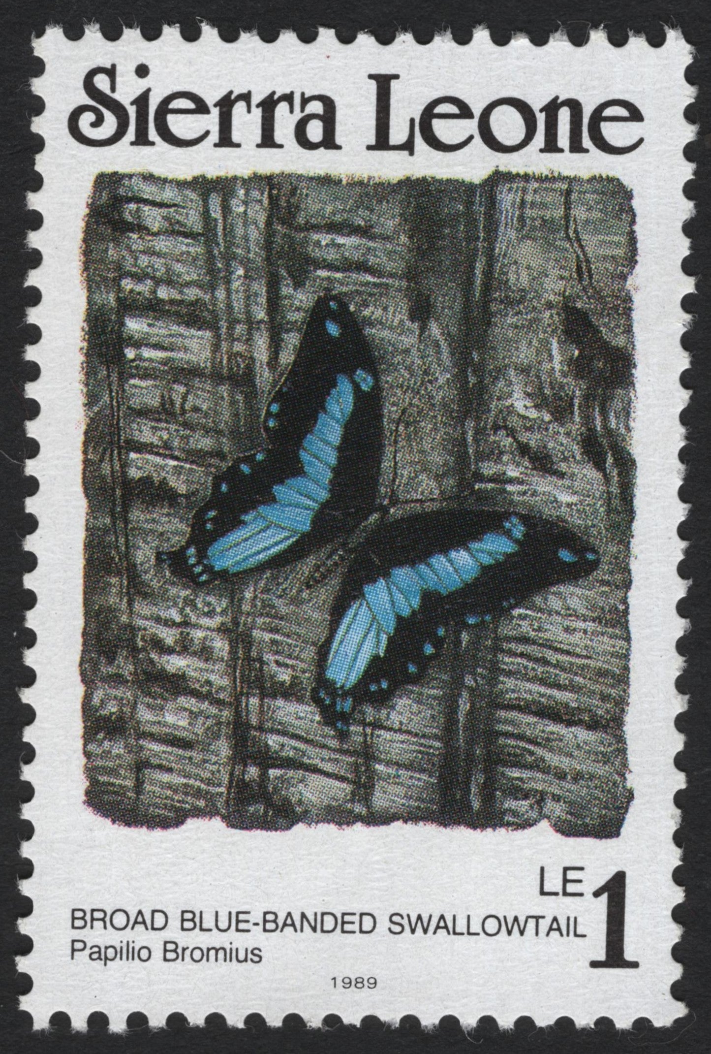 SCG4117 - Sierra Leone 1989 – Broad Blue-Banded Swallowtail